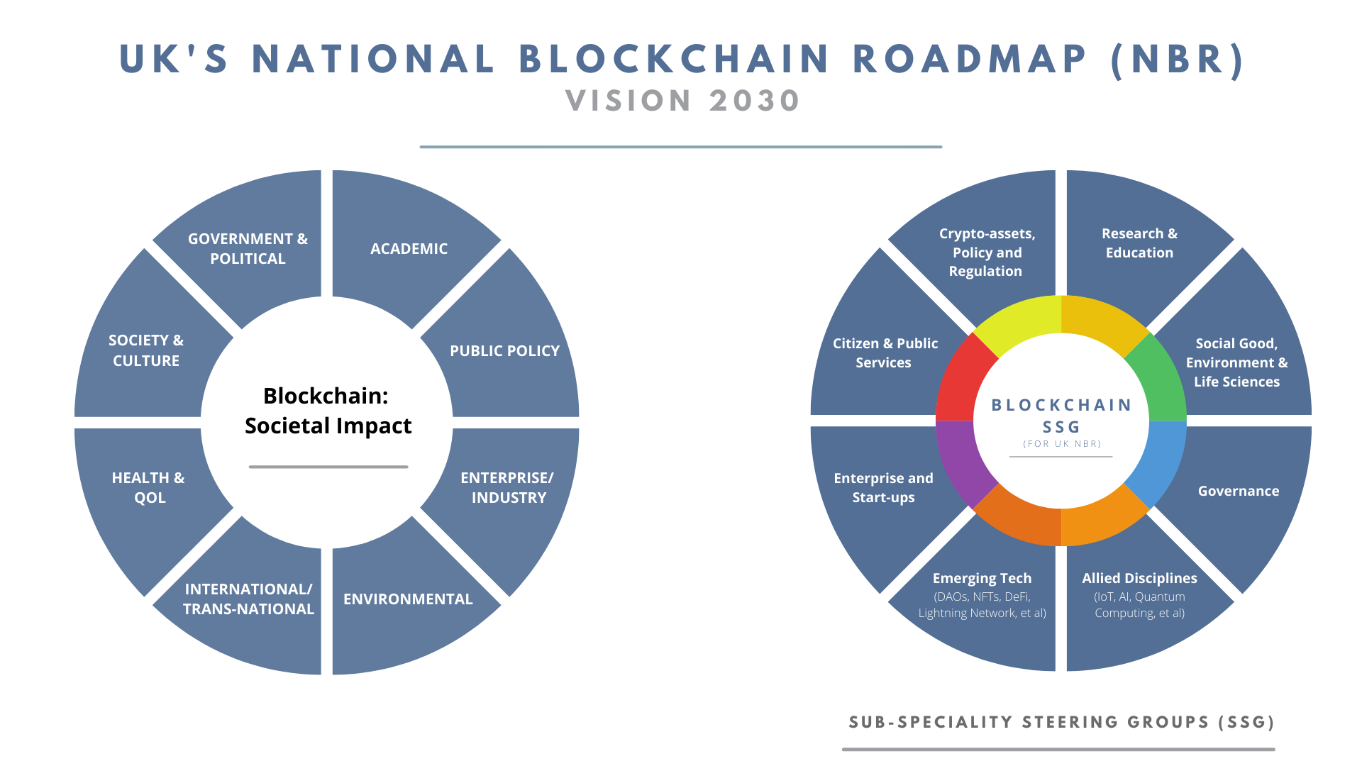 UK National Blockchain Roadmap Vision 2030: societal impact domains and sub-speciality steering groups