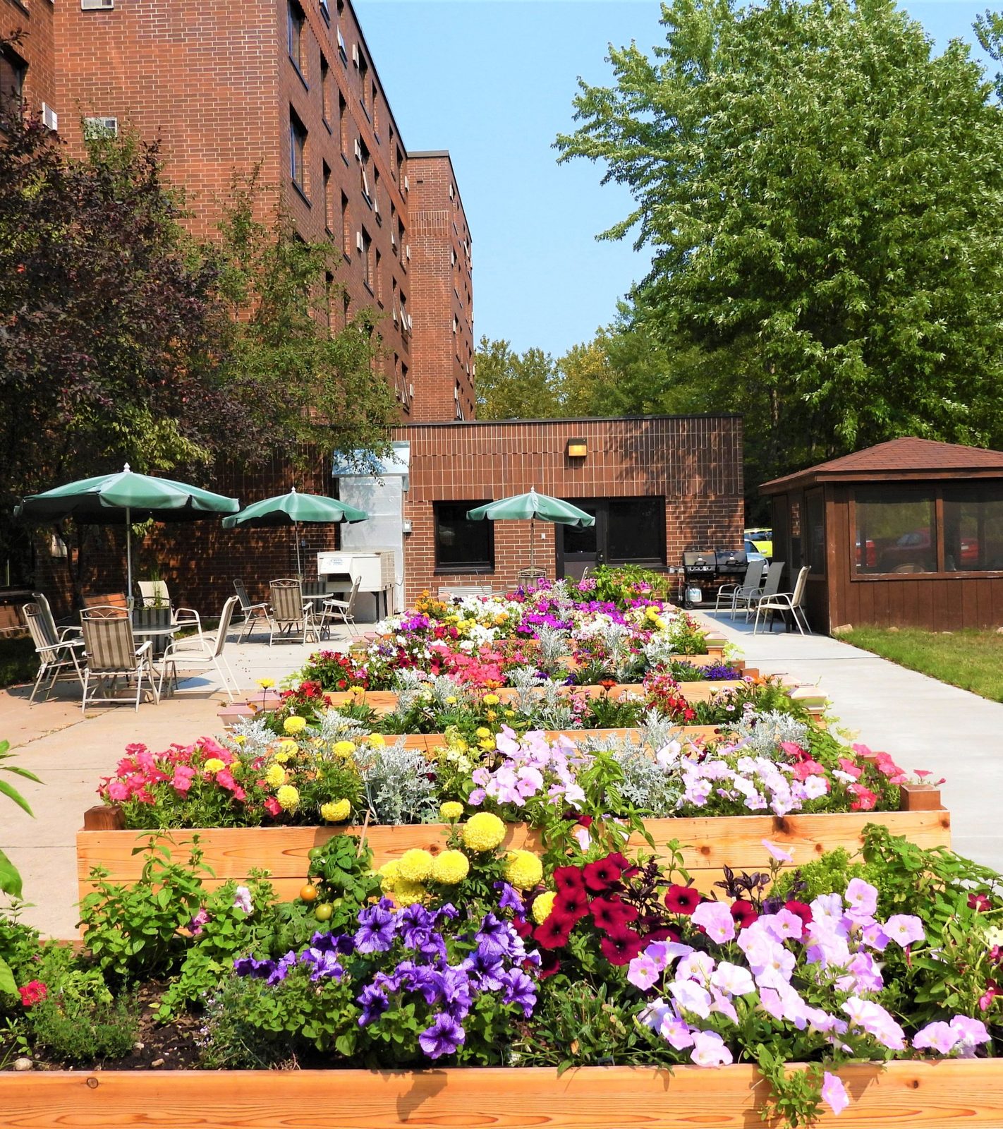 Community courtyard with residents
