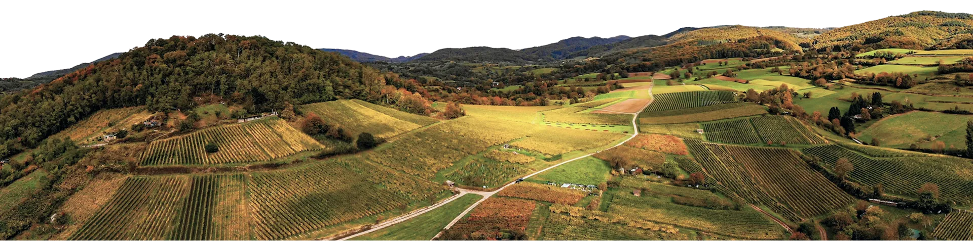 Aerial view of farmland