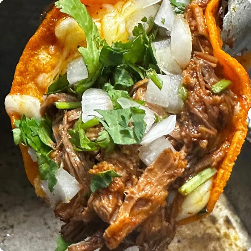 Birria King Quesobirria