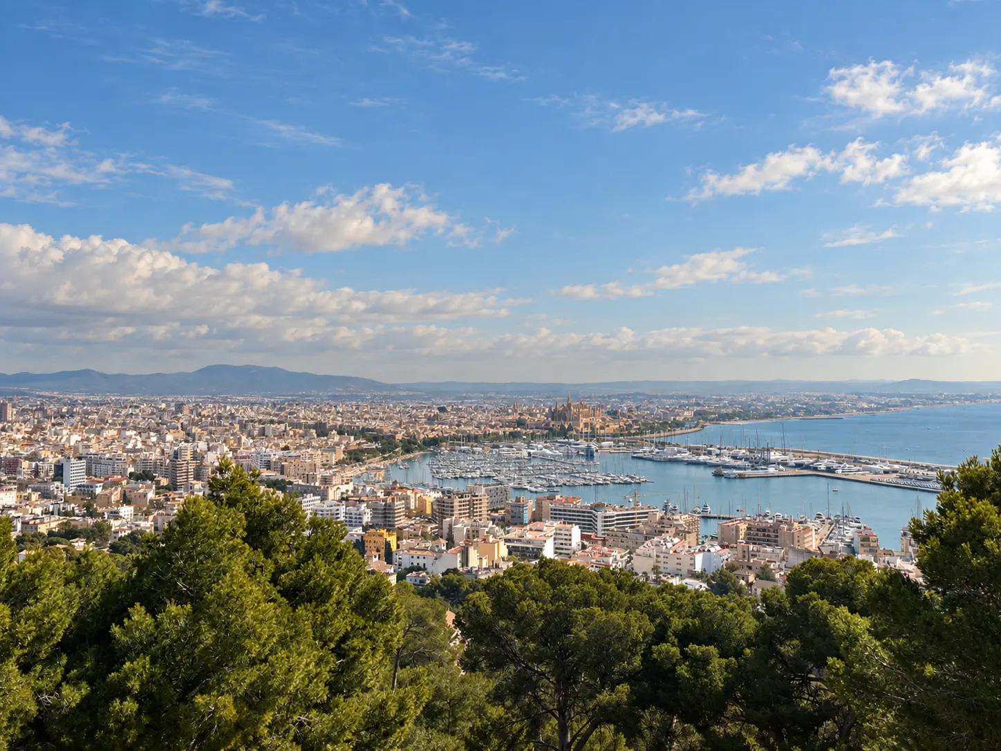 Panoramic view across Palma and its marina from the surrounding hills