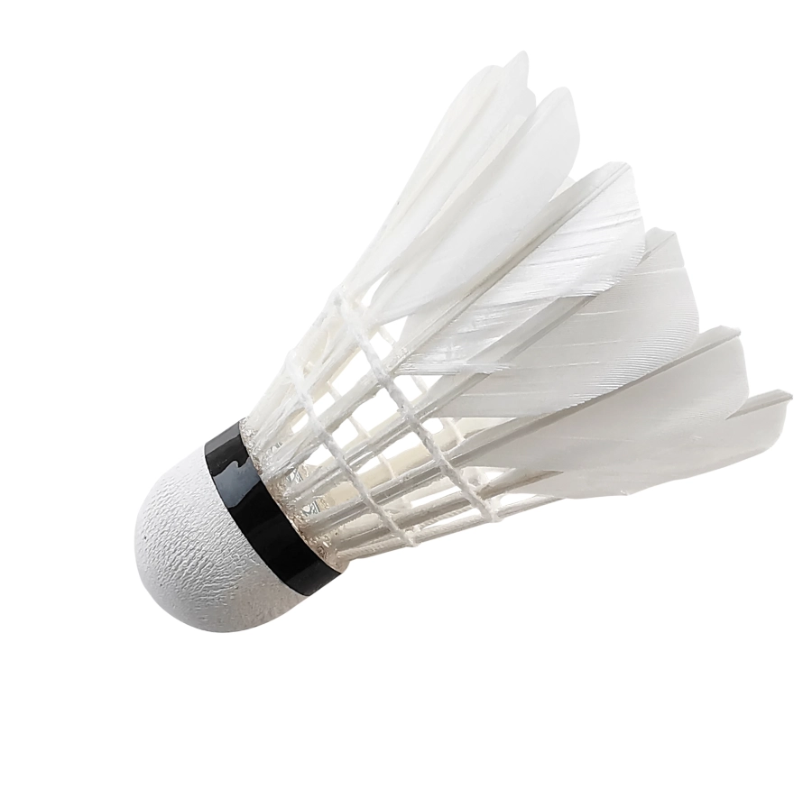 Badminton Shuttlecock