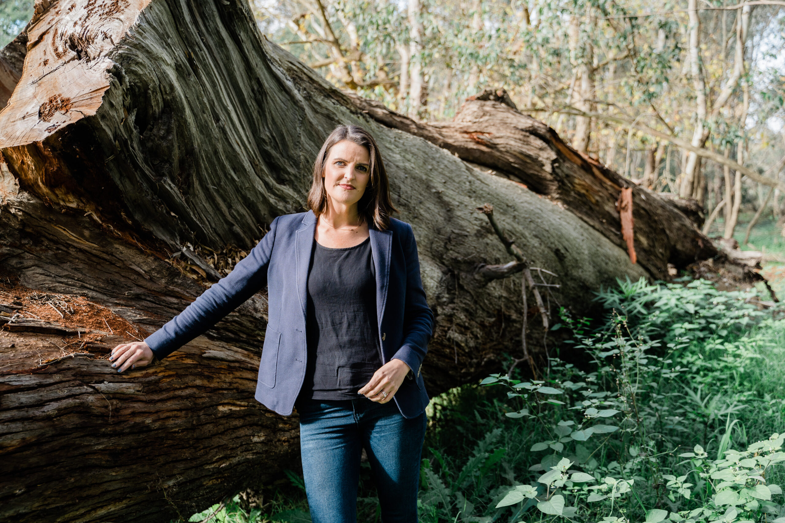 Future of firewood supply in doubt