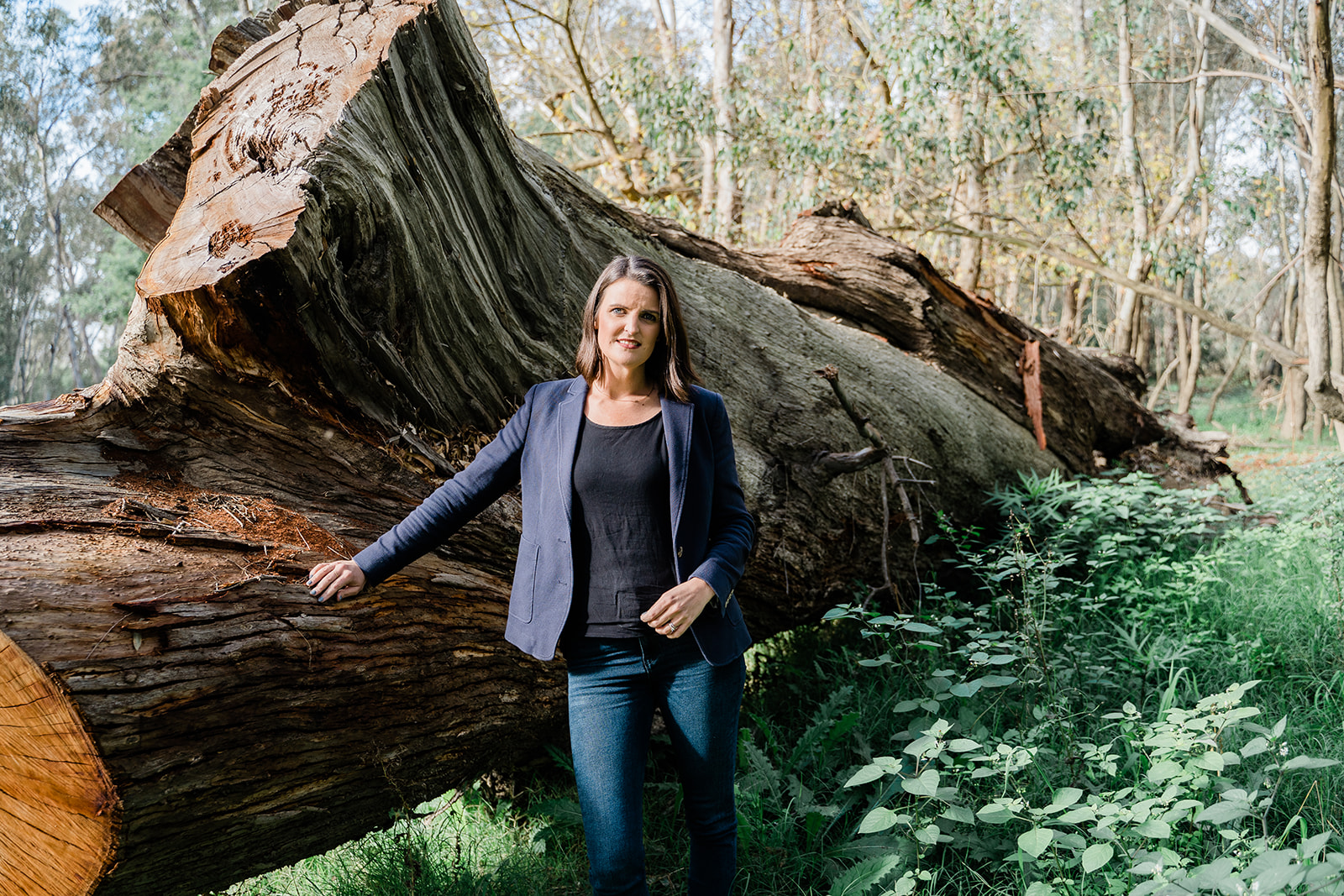 Firewood Supply Fears as Collection Season Opens