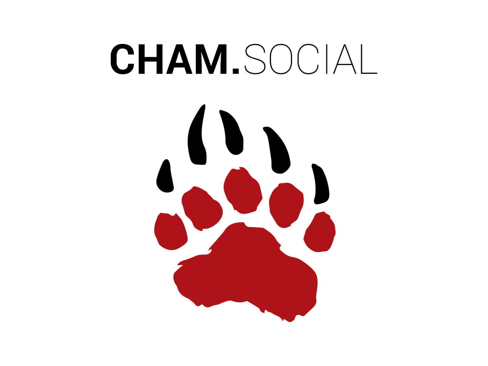 Cham.Social