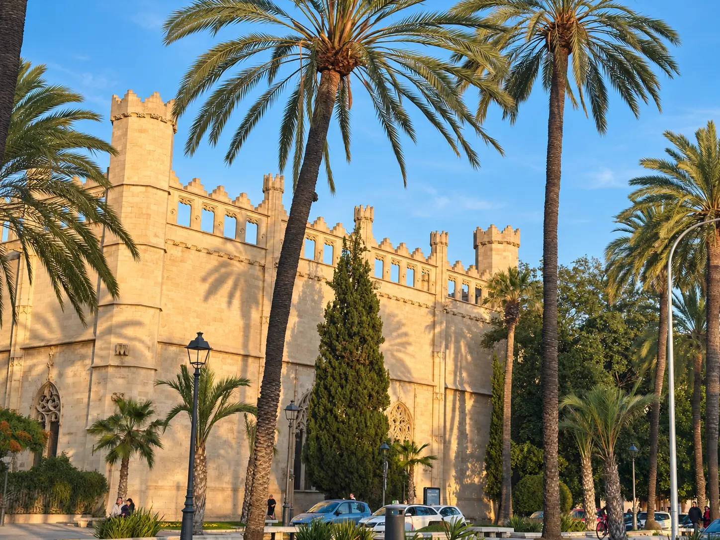 La Llotja in Palma illuminated by warm evening light among palm trees