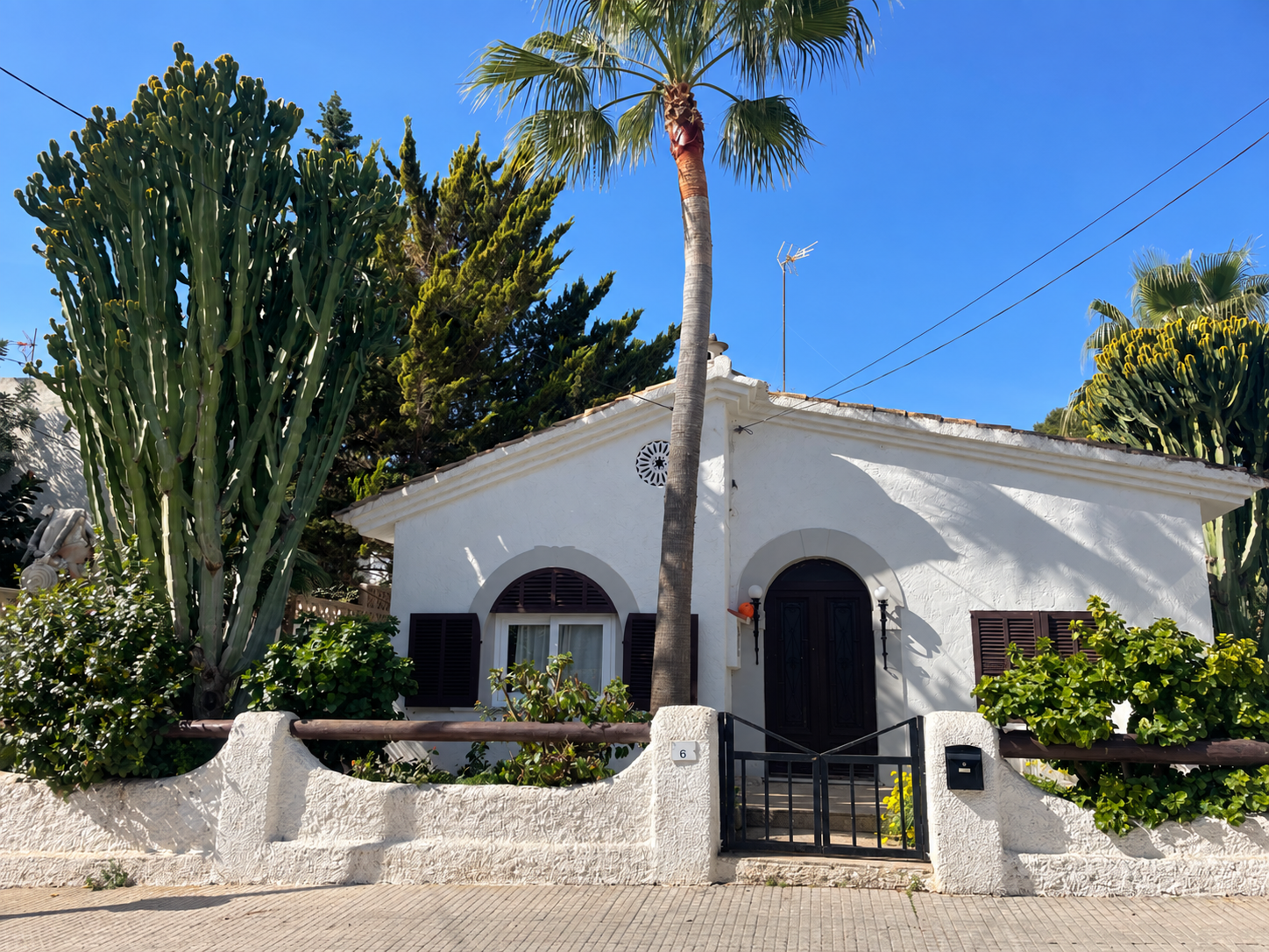 White Mediterranean villa with palms and cactus garden in Portals Nous, Mallorca