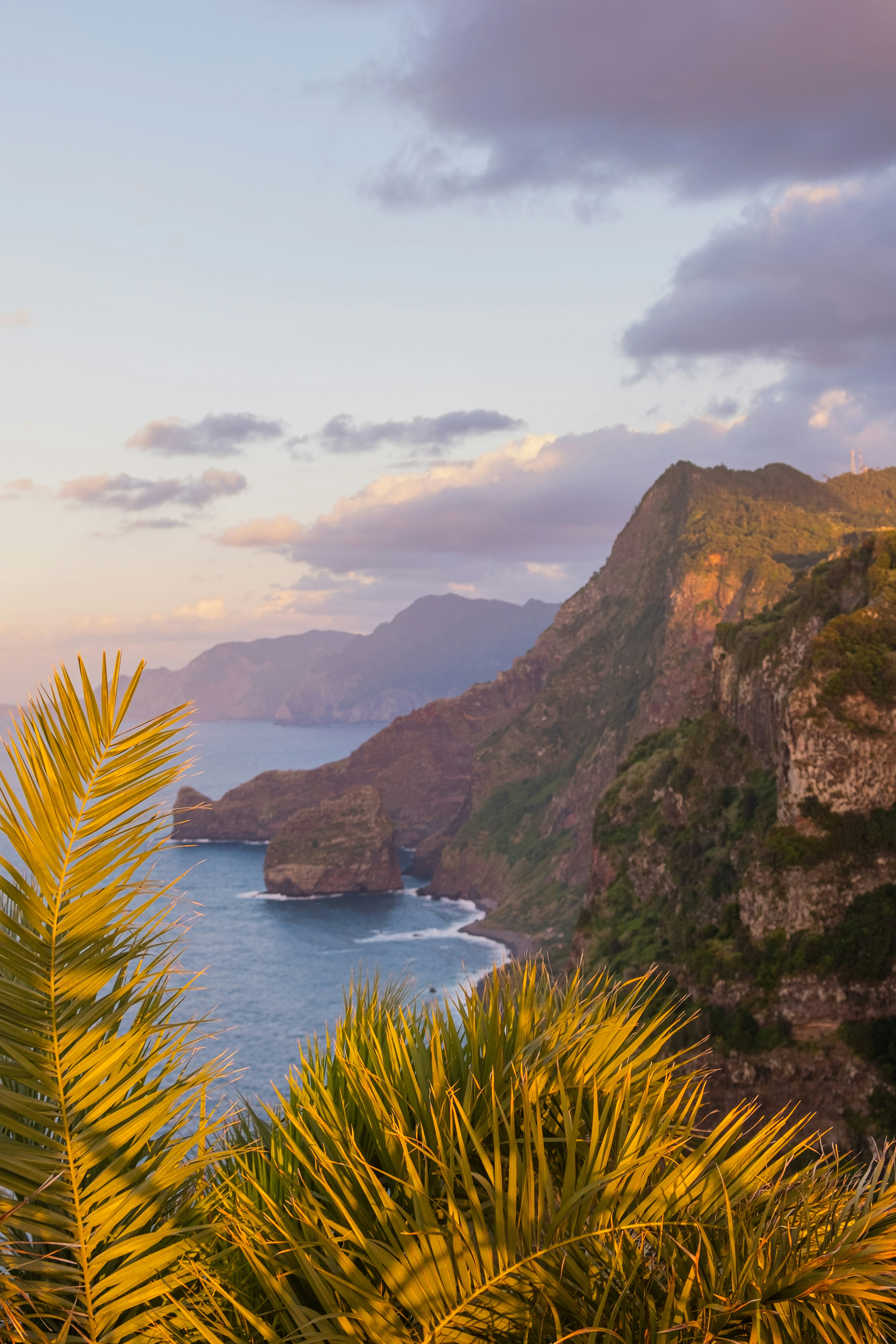 Does Madeira Have Beaches? What to Actually Expect