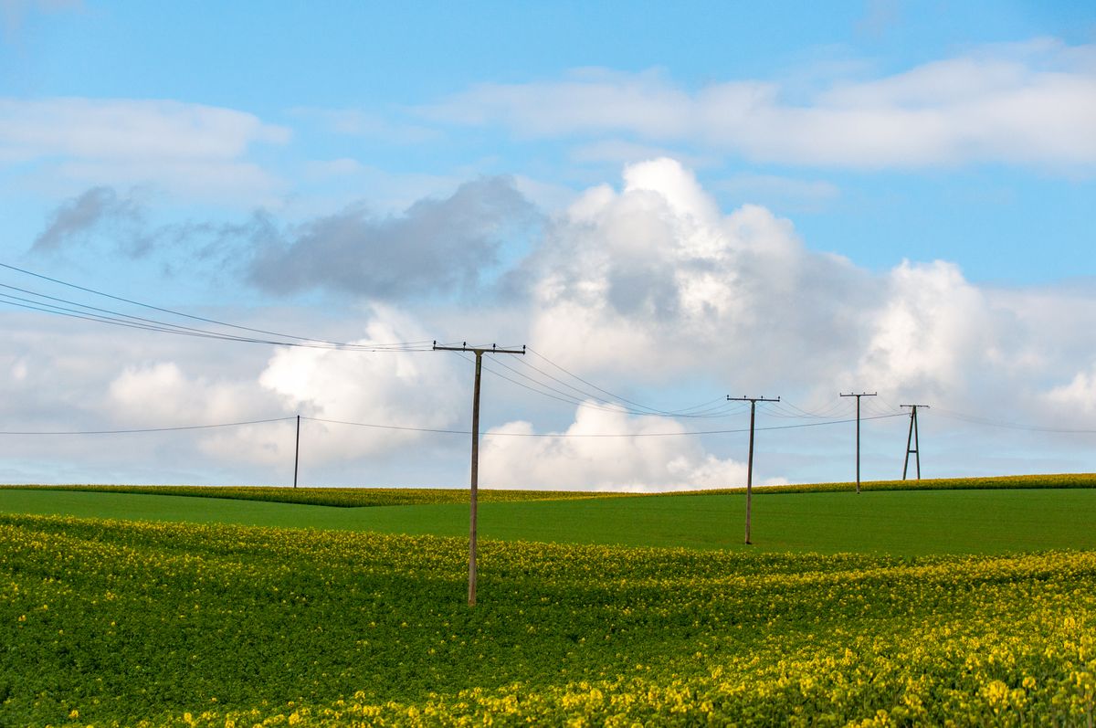 Rural power lines across farmland