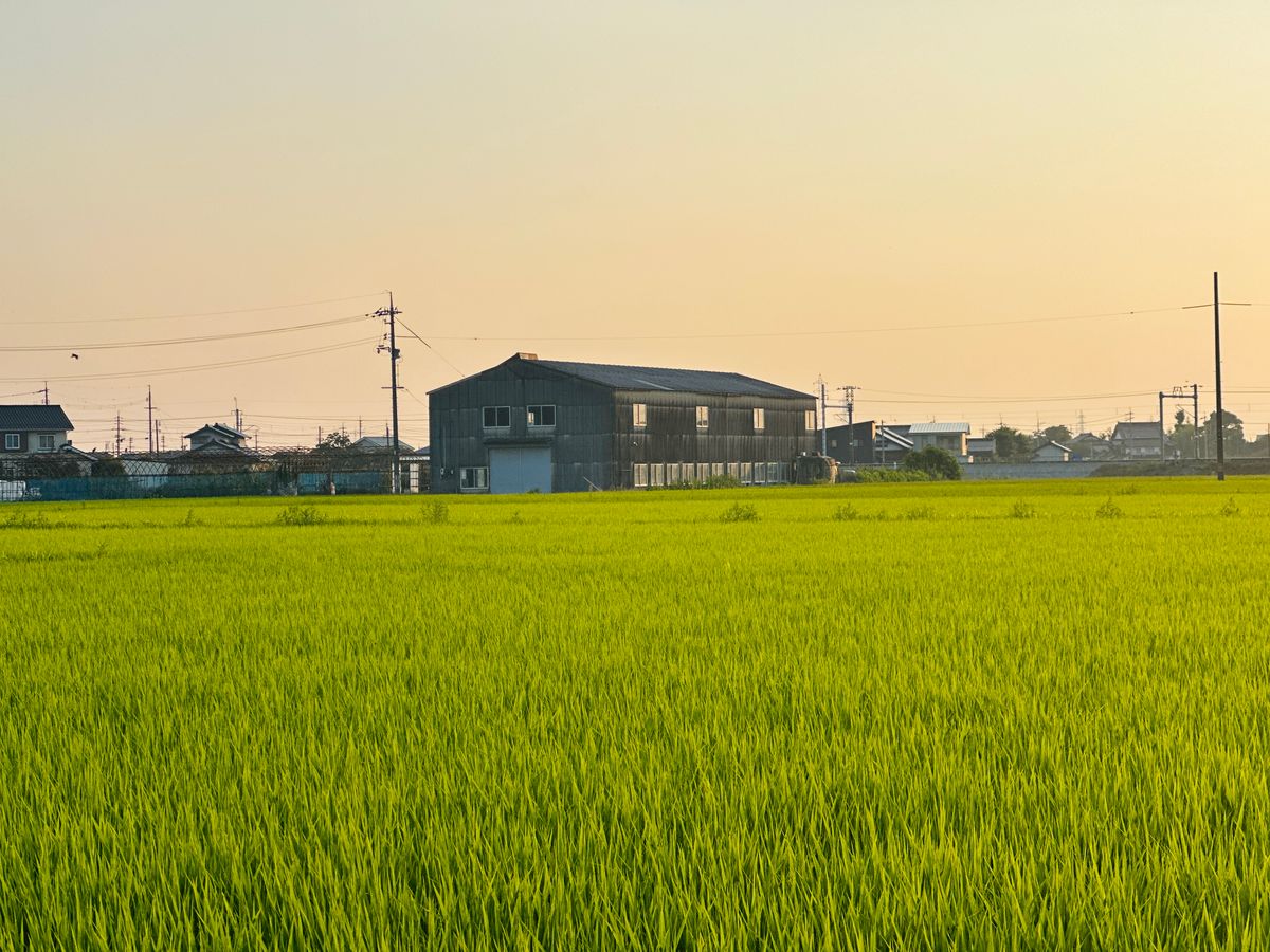 Defer Early Retirement Losses on Generating Plants