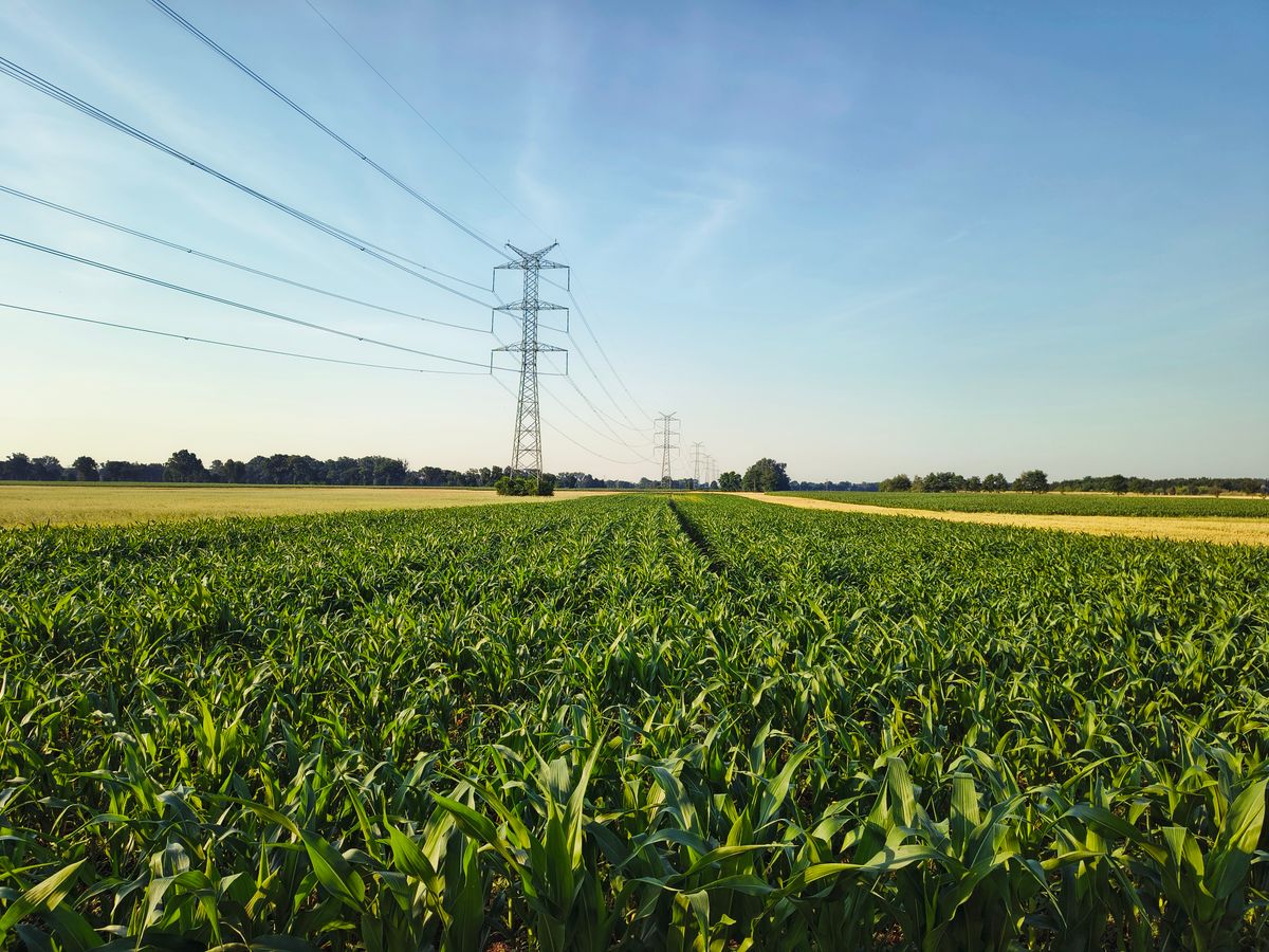 Rural power lines across farmland