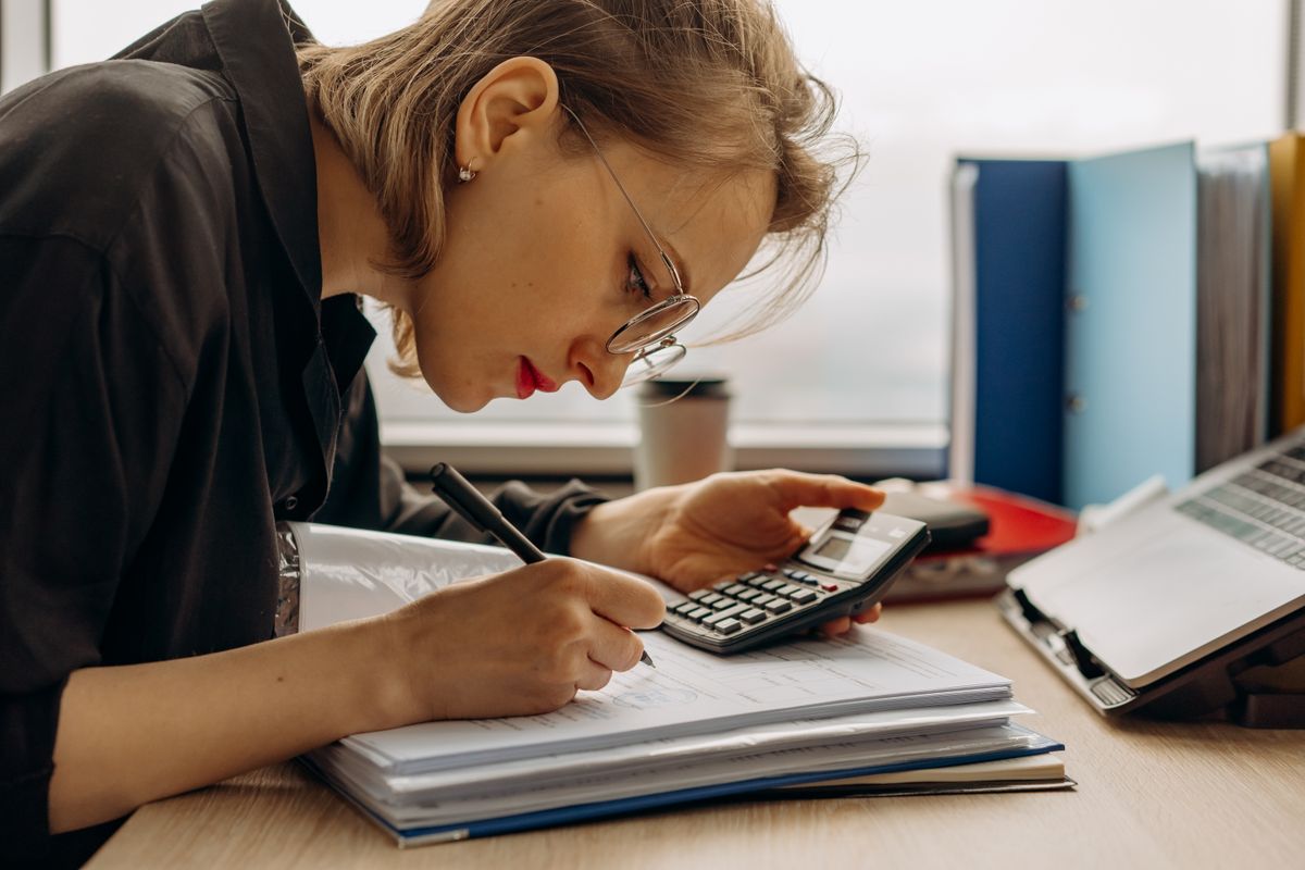 Accounting ledger and records