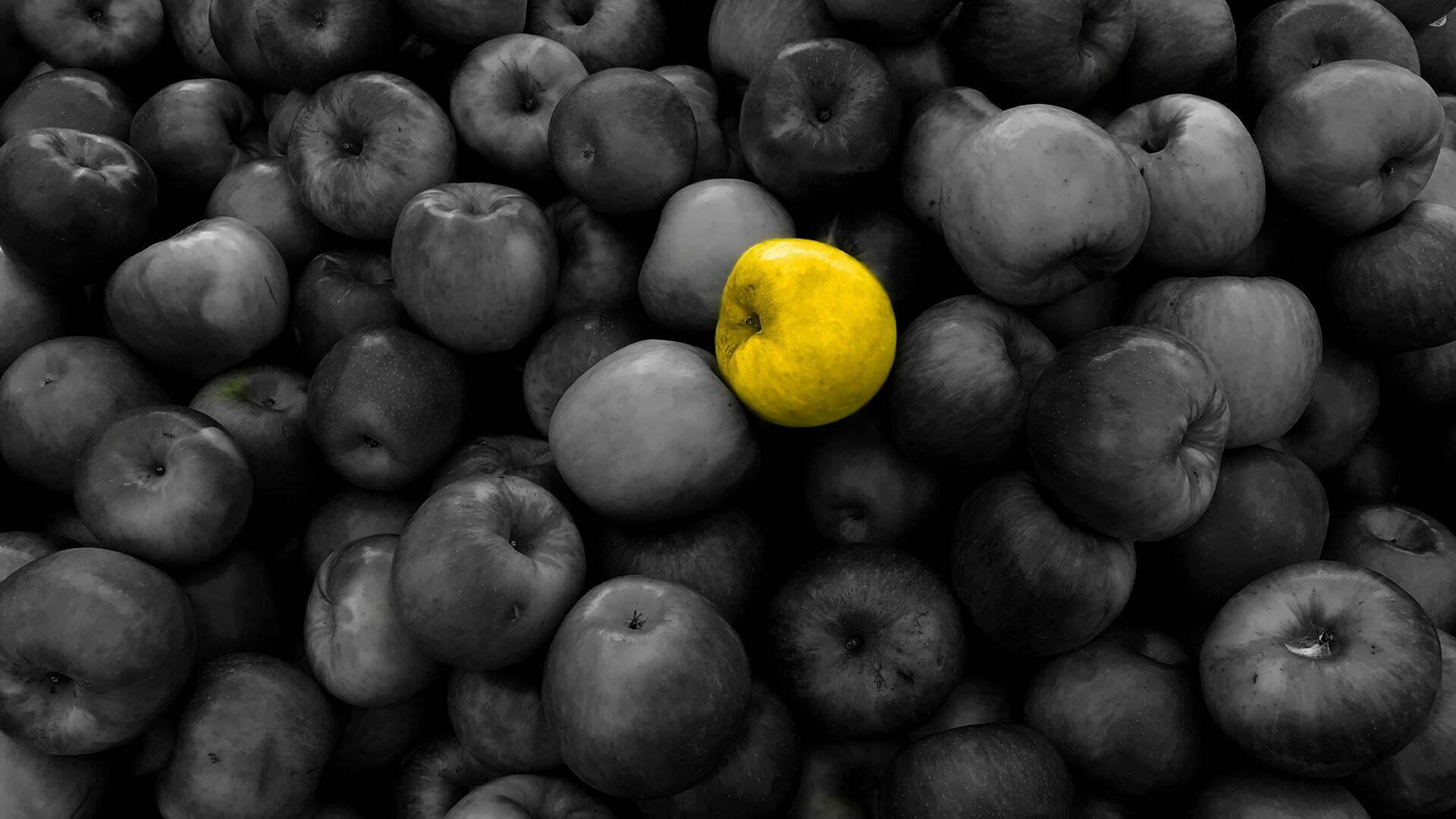 One yellow apple among many grey apples