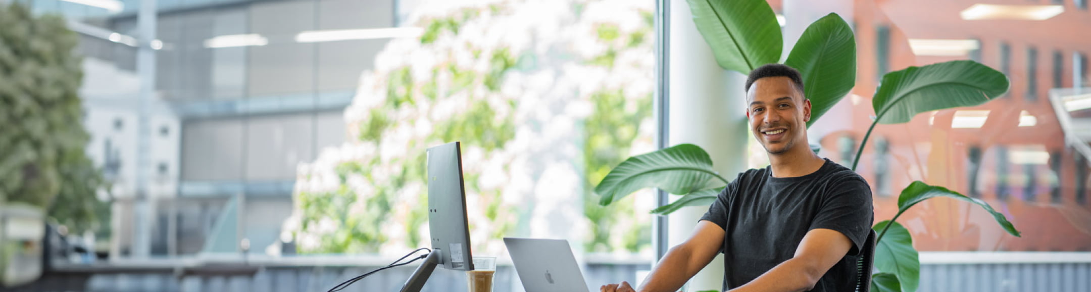 Smiling man at a desk with a laptop and monitor, in front of a large window with plants