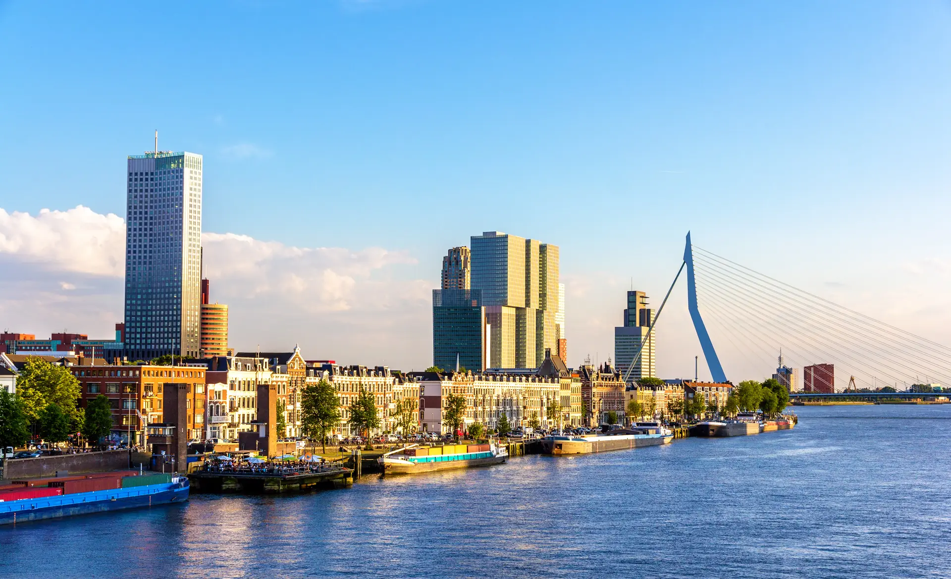 online marketing bureau rotterdam pro contact