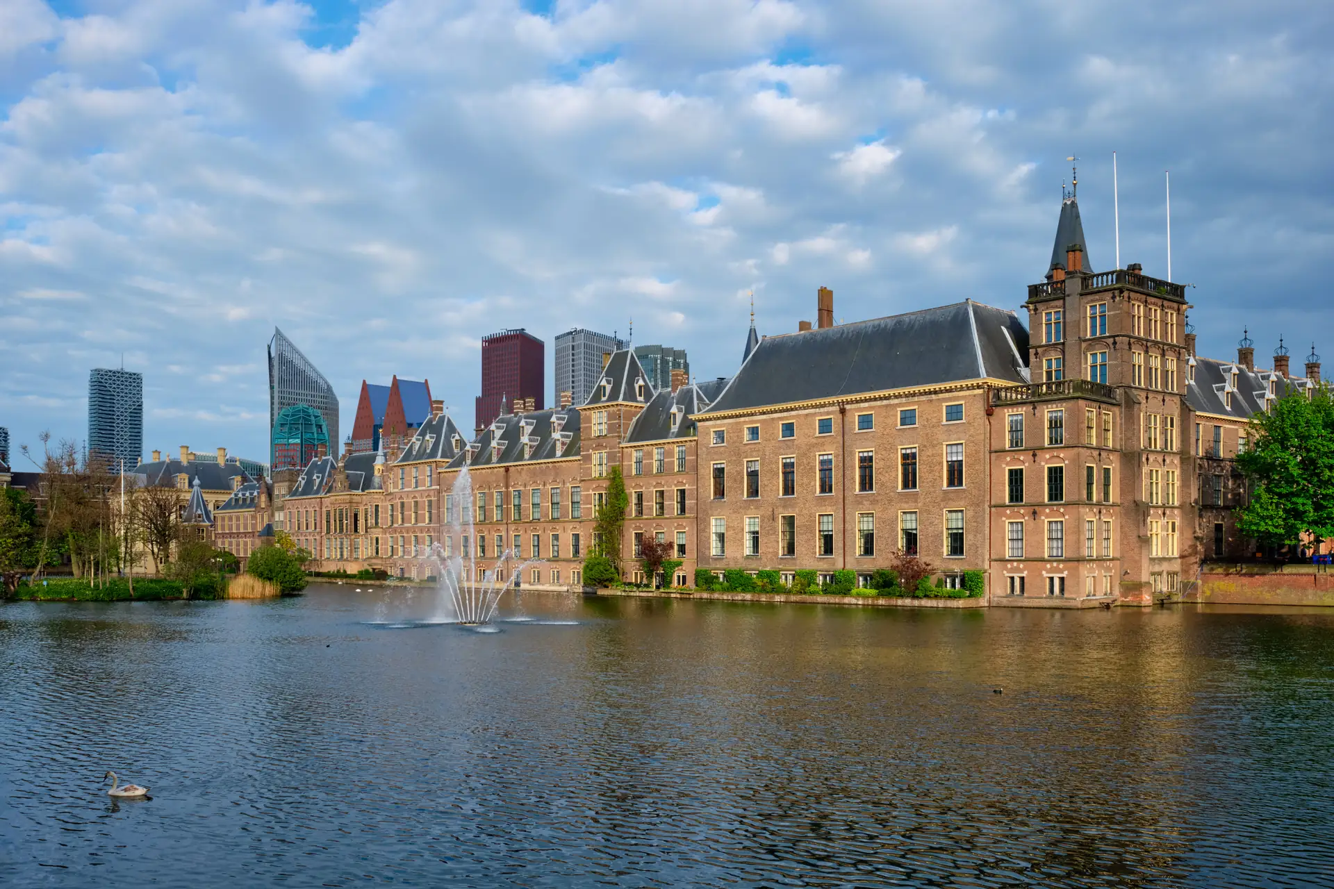 online marketing bureau den haag pro contact