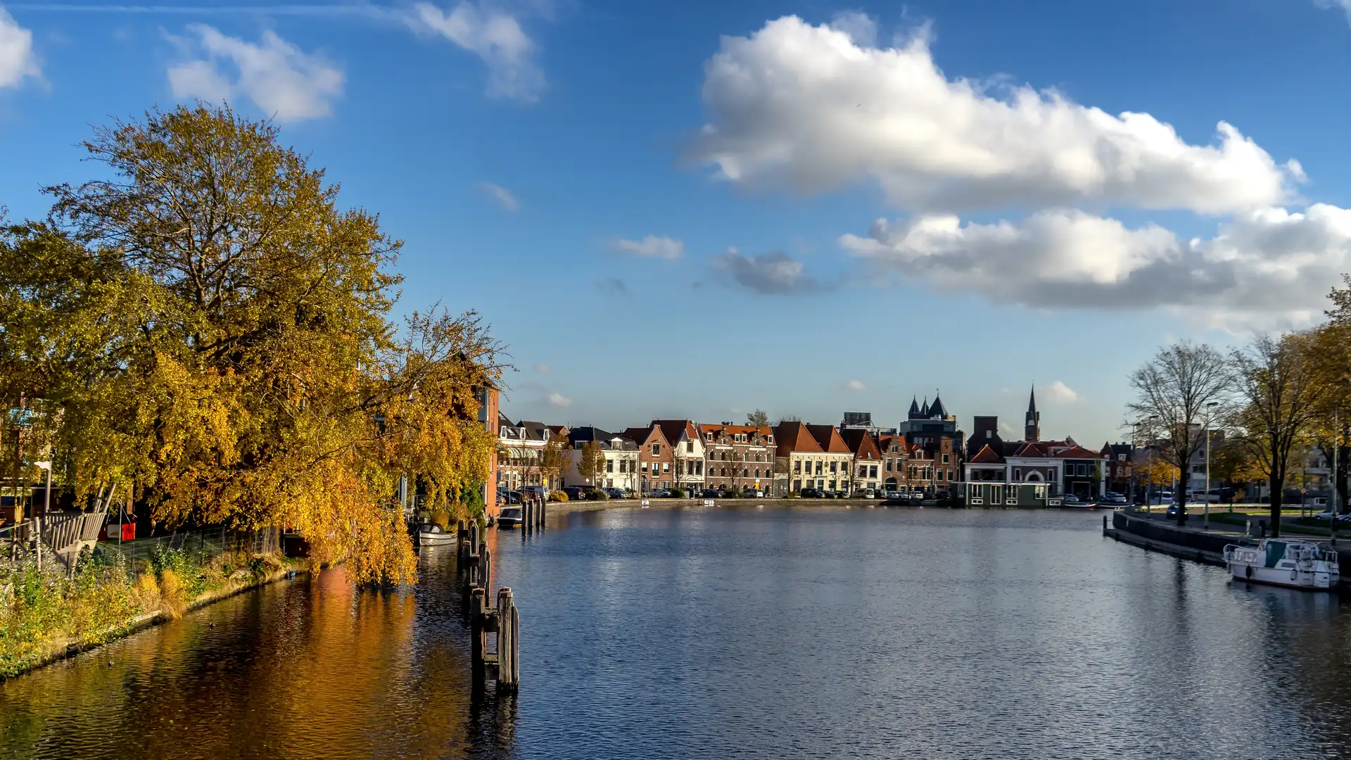 online marketing bureau haarlem pro contact