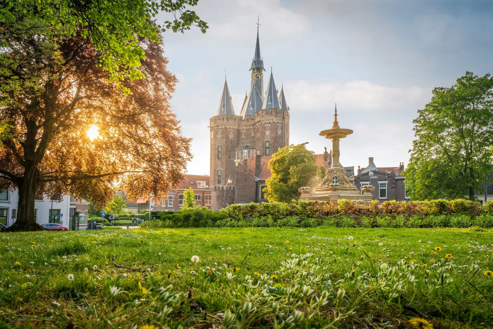 online marketing bureau zwolle pro contact