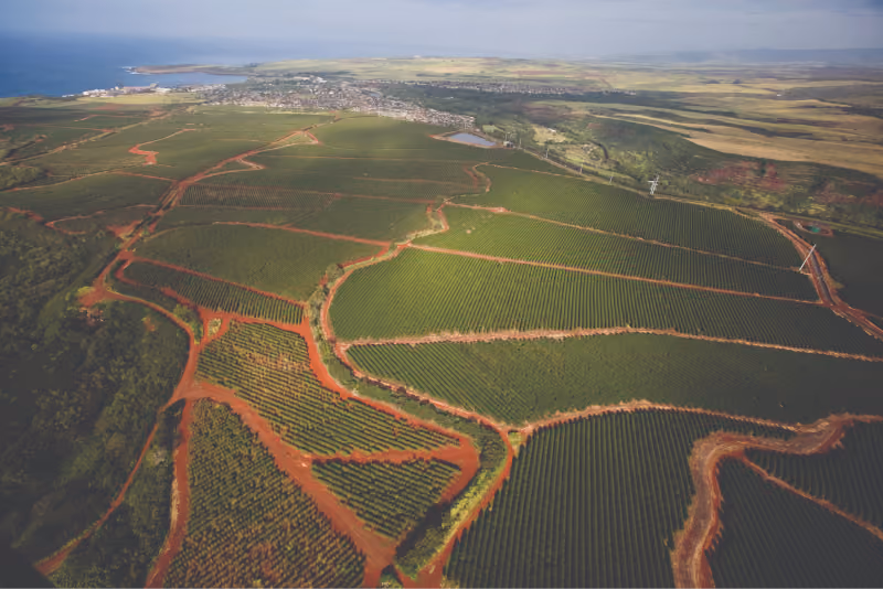 Kauai Coffee® Earns Triple Certification From Leading Sustainability Advocates