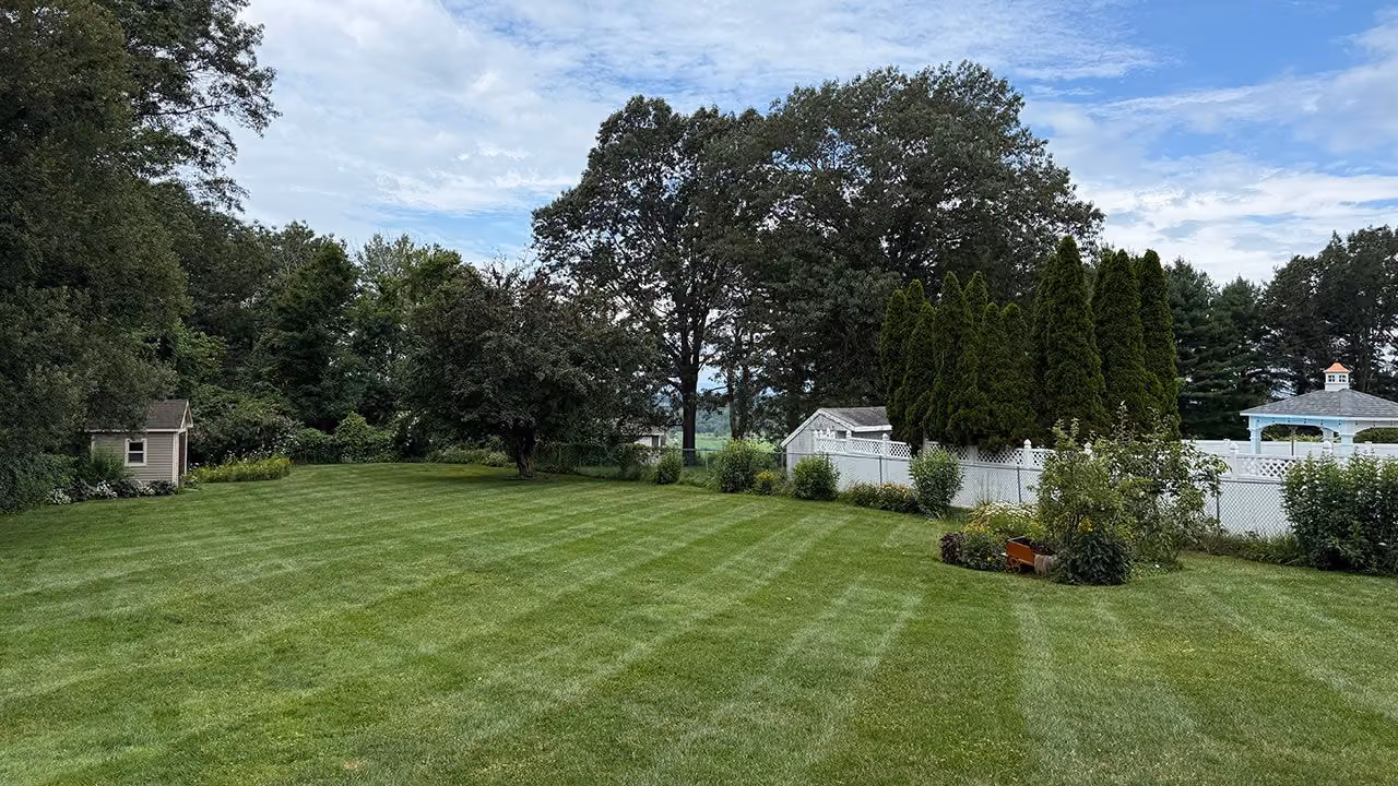 Lawn care and maintenance by Earth Management Solutions in Eastern Connecticut