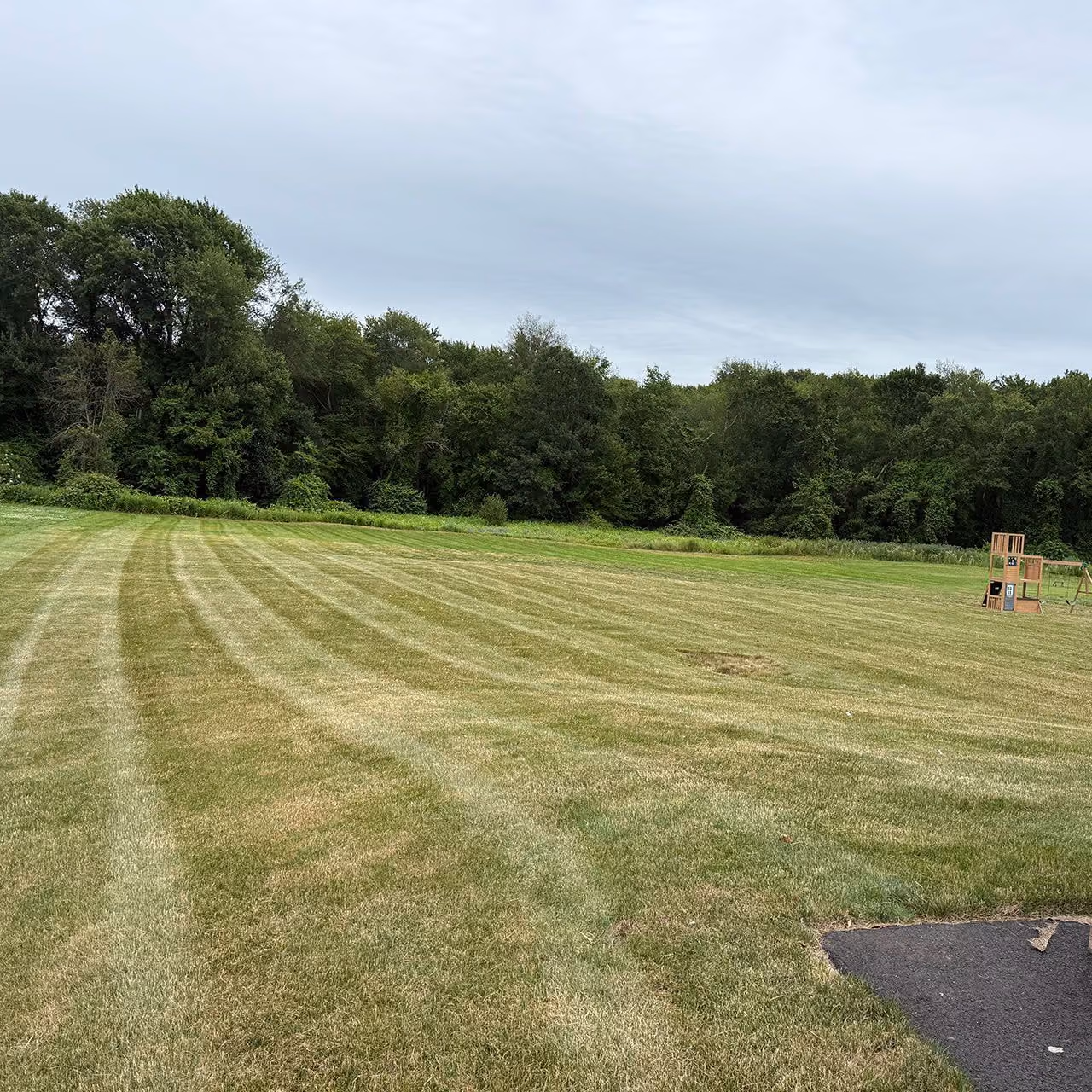 Lawn care and maintenance by Earth Management Solutions in Eastern Connecticut