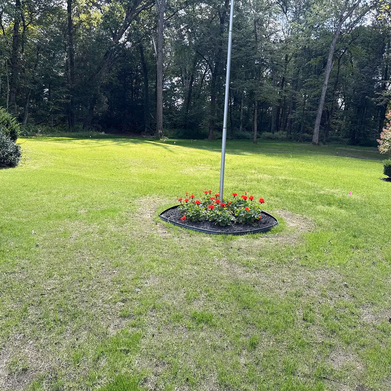Routine lawn mowing, trimming and edging for well maintained properties