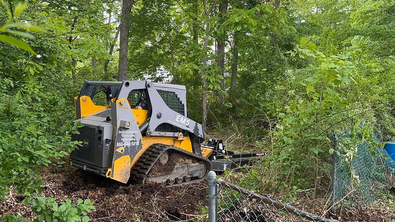 Brush hogging by Earth Management Solutions in Eastern Connecticut