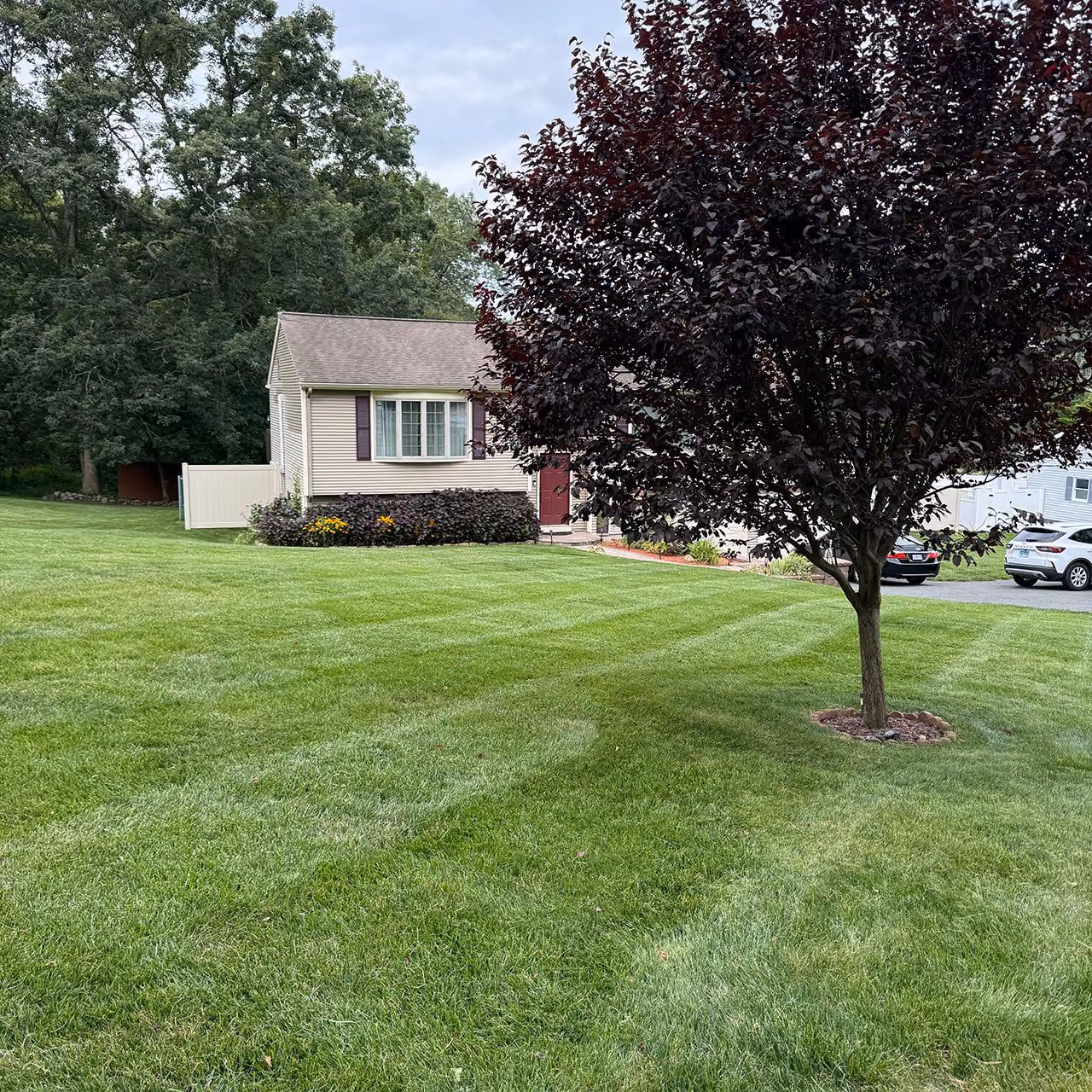 Professional lawn care by Earth Management Solutions in Eastern Connecticut
