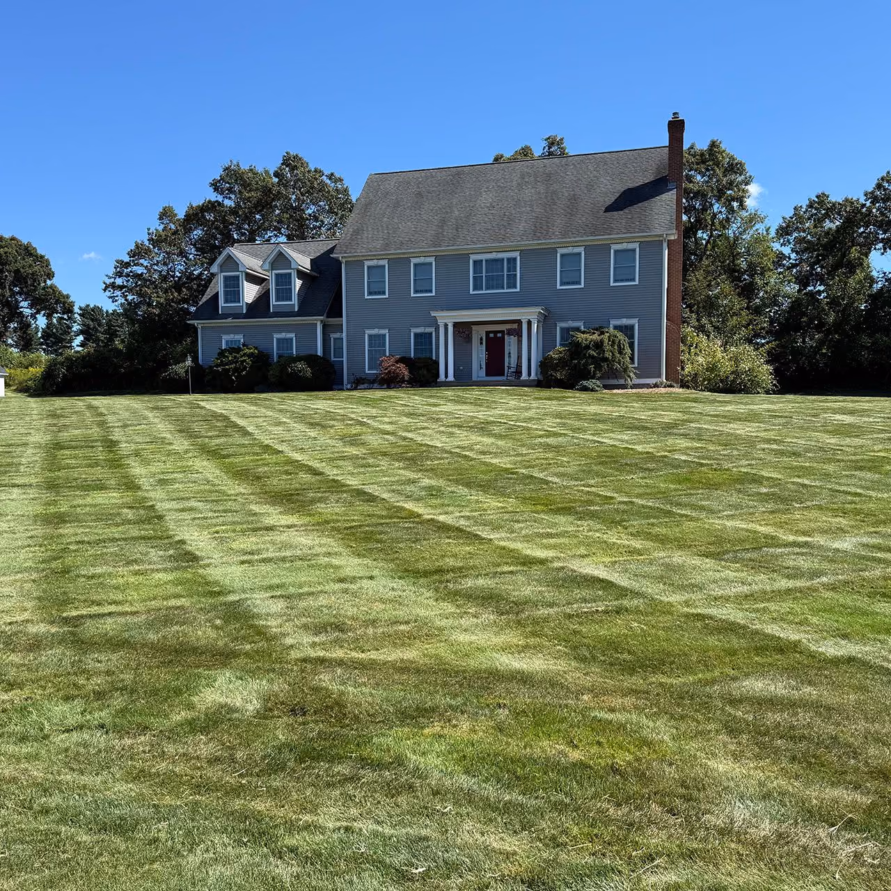 Professional lawn mowing and maintenance for healthy turf