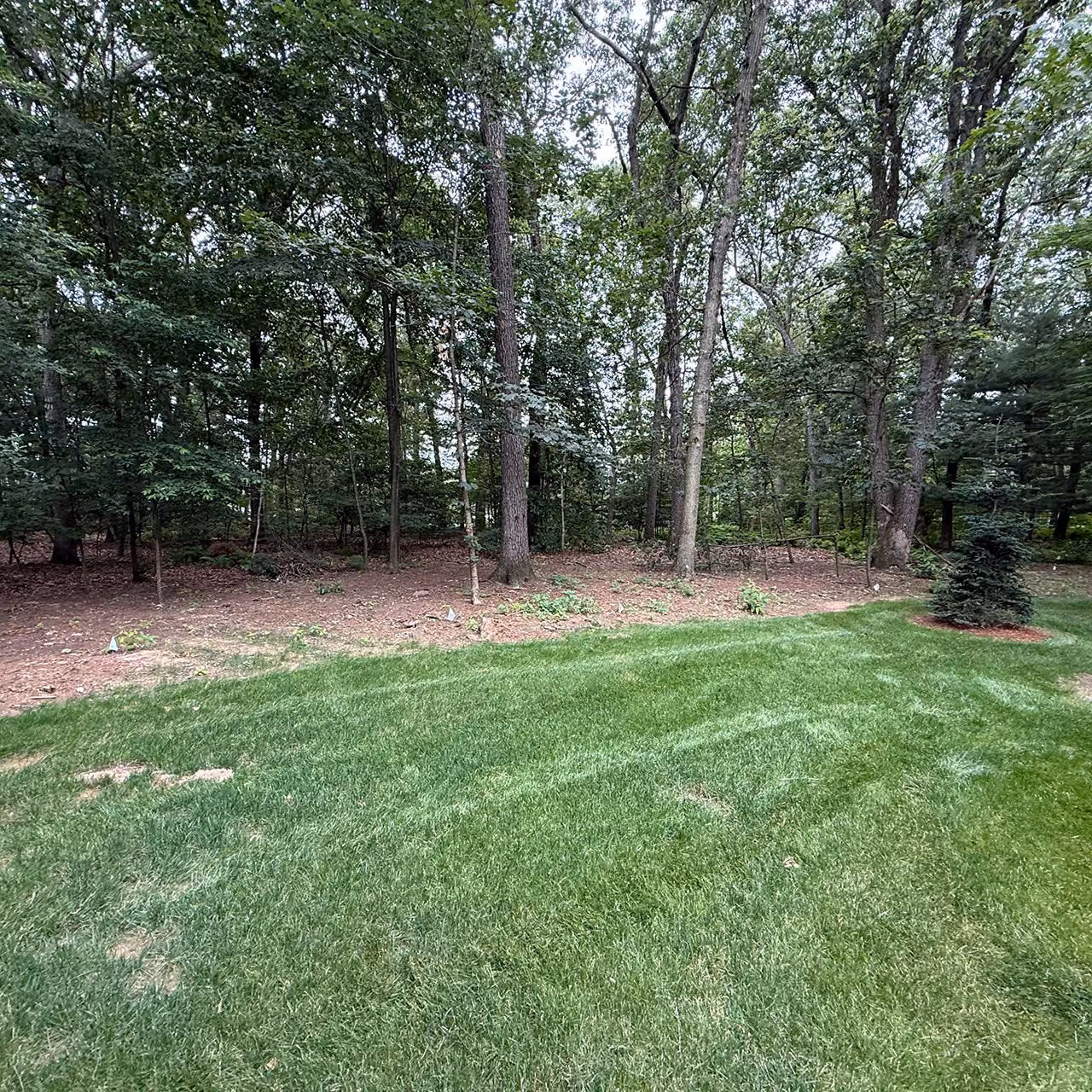Year round property maintenance by Earth Management Solutions