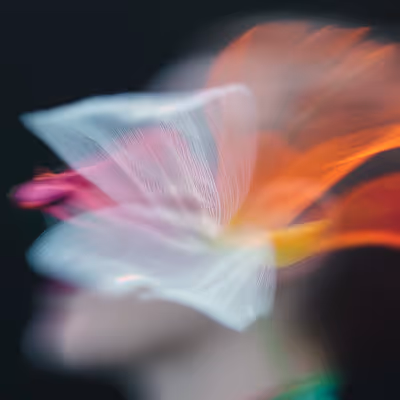 Abstract blurred profile of a person's face with translucent colorful petal shapes overlaying it.