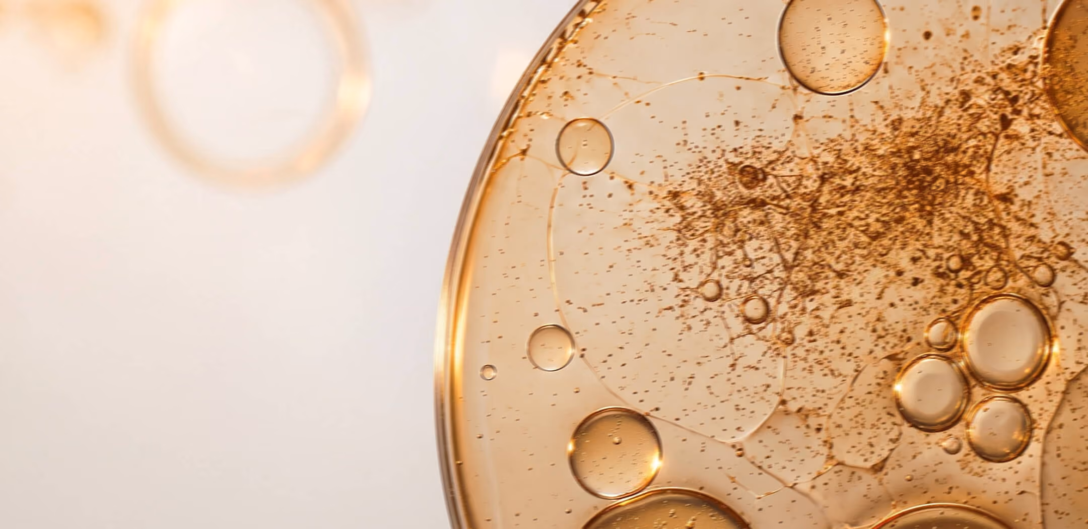 Close-up of translucent amber liquid with bubbles and speckles on a light background.