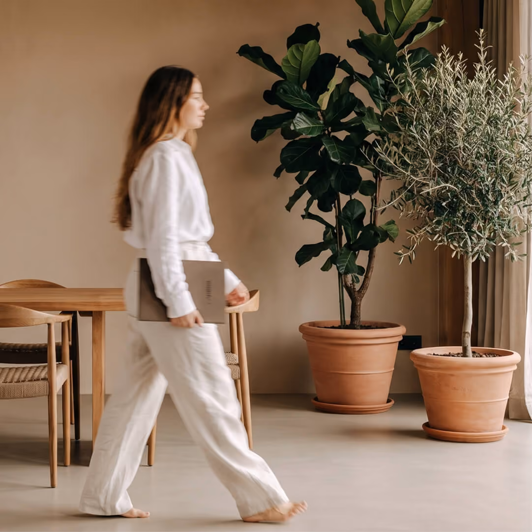 A barefoot woman in white clothes holding a laptop walks past wooden chairs and a table in a room with two large potted plants near a window with curtains.