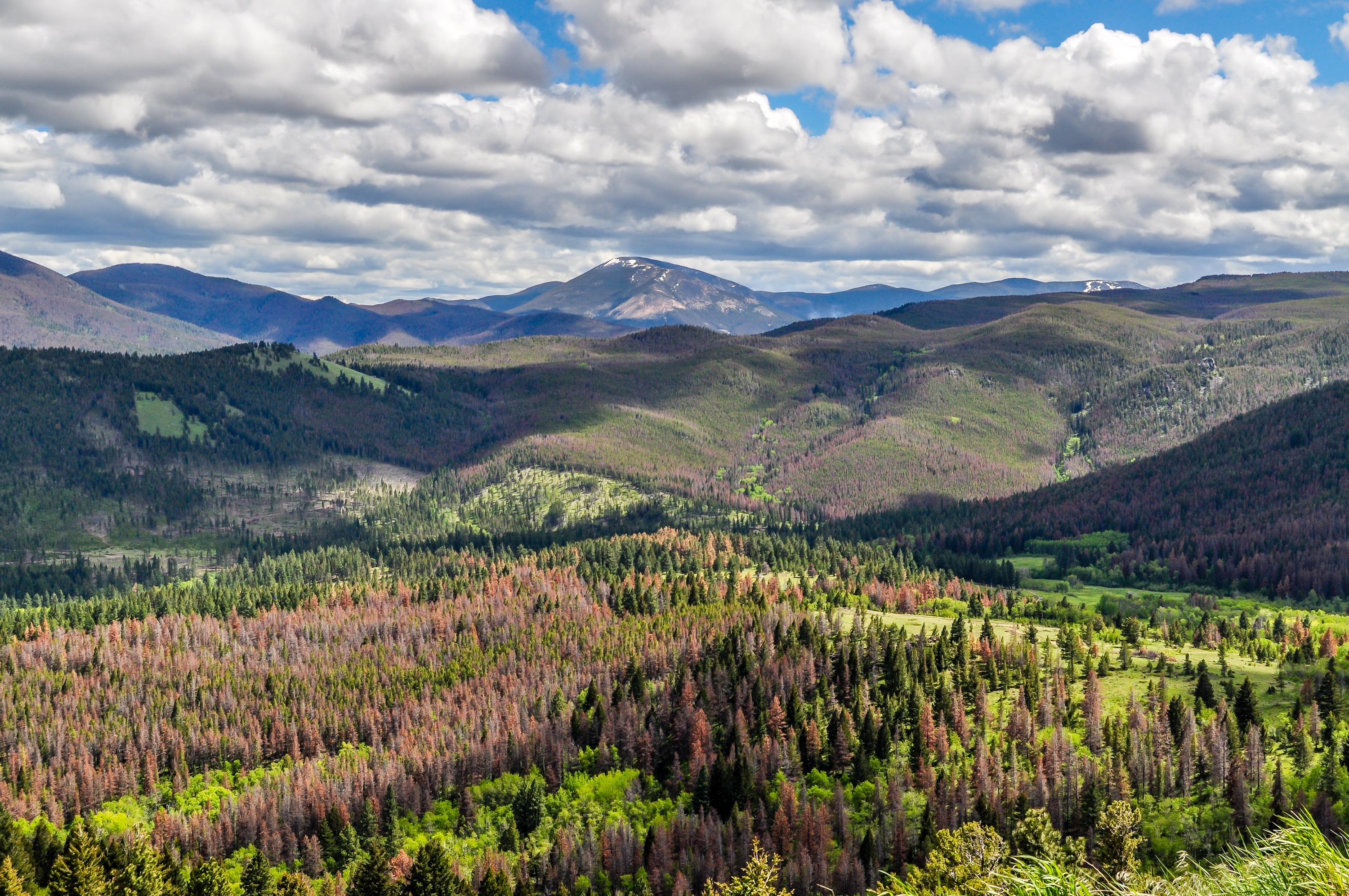 Helena Montana Stock Image 