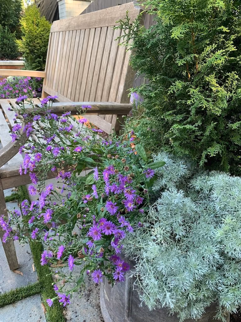 California Dreaming landscape by KFiles Design, Charlotte, North Carolina — photo 1 of 10
