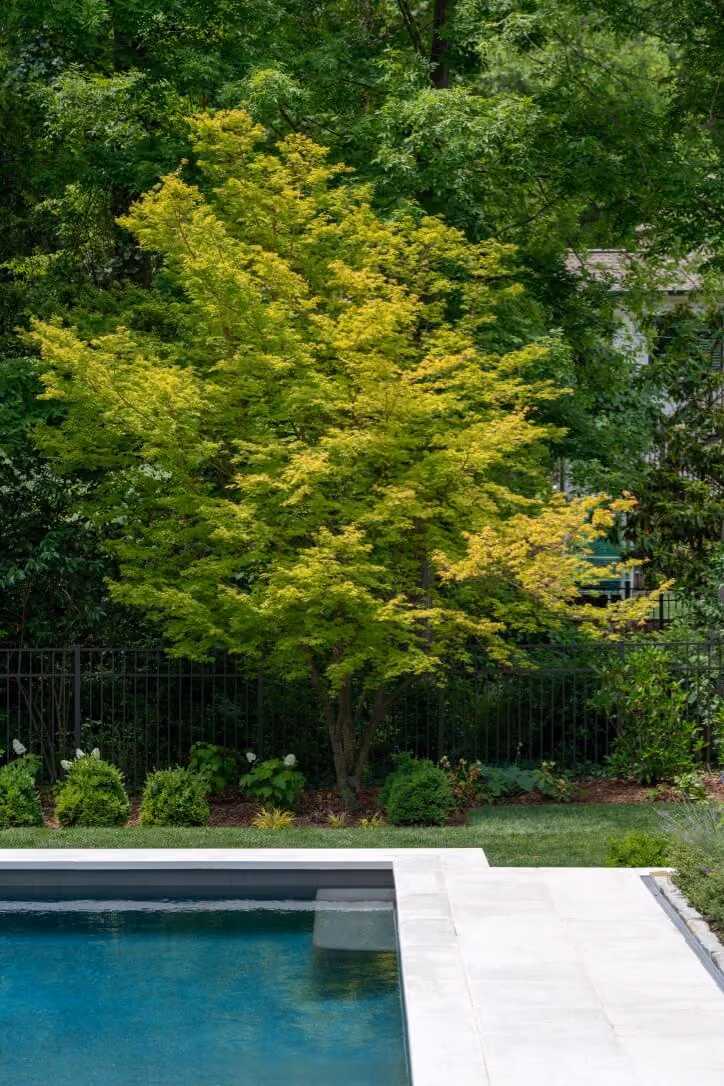 California Dreaming landscape by KFiles Design, Charlotte, North Carolina — photo 2 of 10