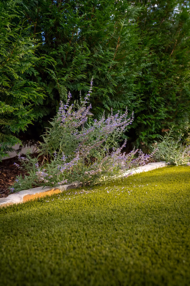 California Dreaming landscape by KFiles Design, Charlotte, North Carolina — photo 8 of 10