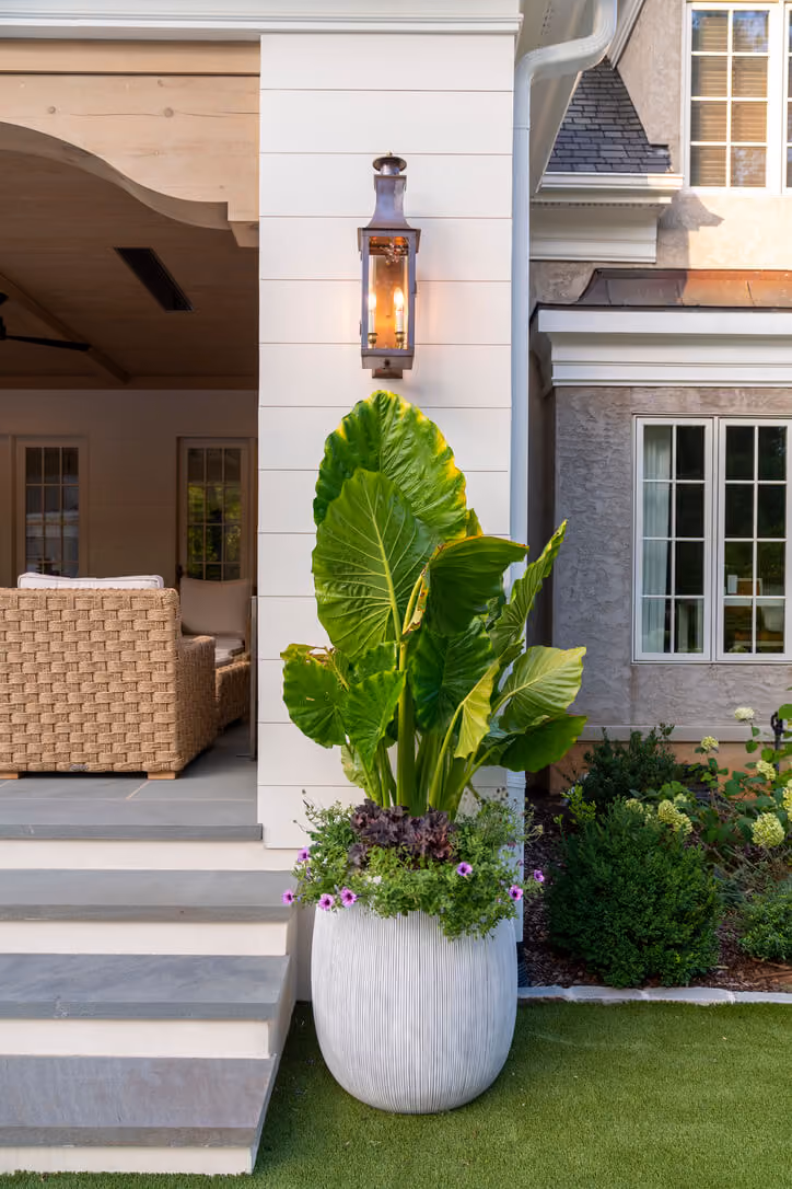 California Dreaming landscape by KFiles Design, Charlotte, North Carolina — photo 10 of 10