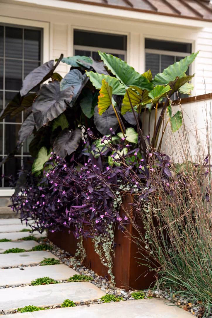 Cottage Place landscape by KFiles Design, Charlotte, North Carolina — photo 2 of 15