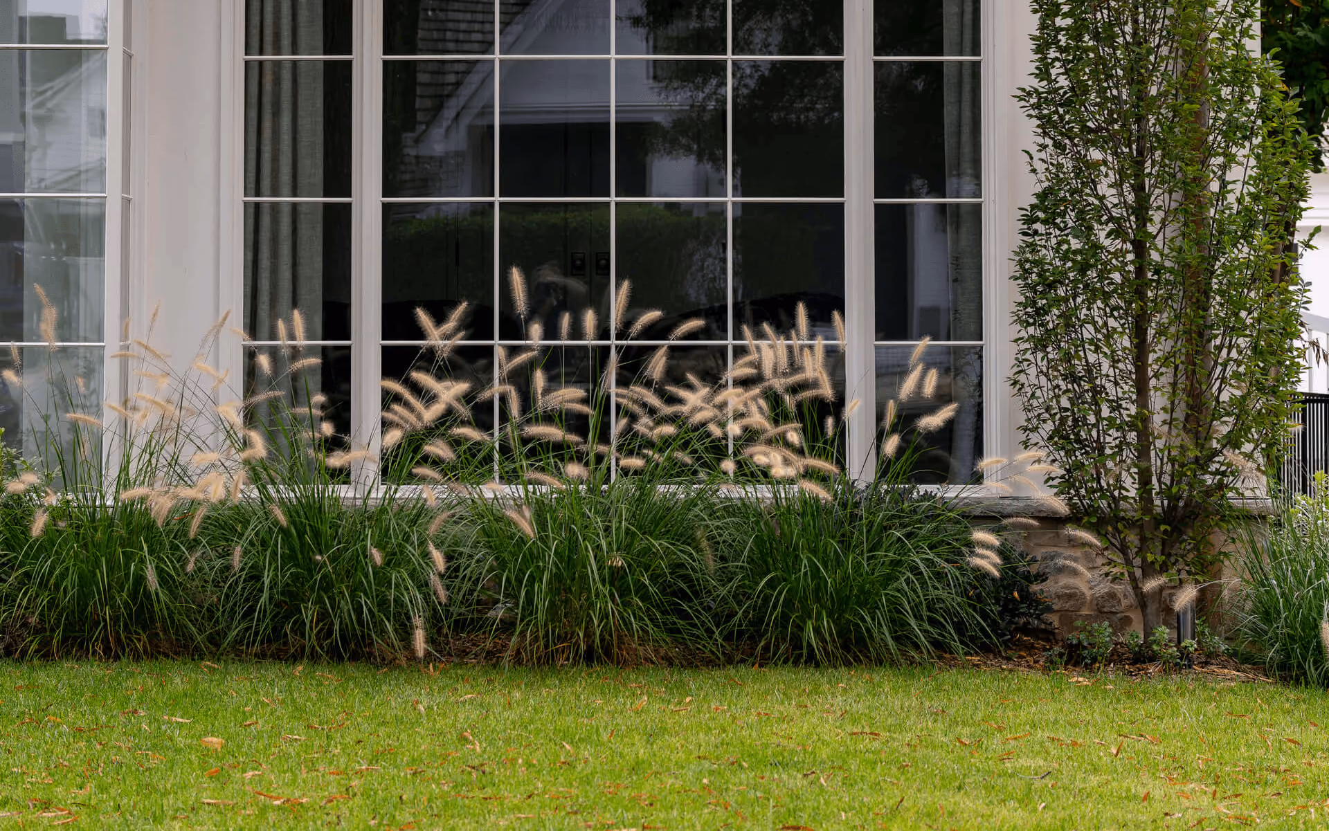 Cottage Place landscape design by KFiles Design in Charlotte, North Carolina