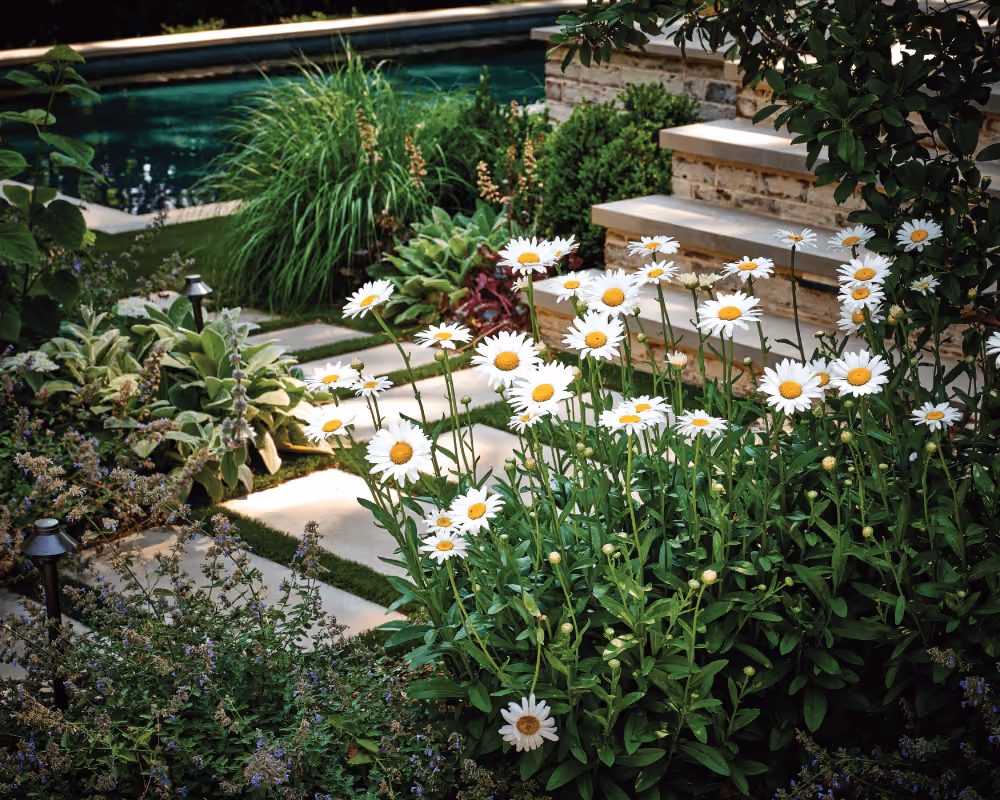 In Town Retreat landscape by KFiles Design, Charlotte, North Carolina — photo 10 of 19