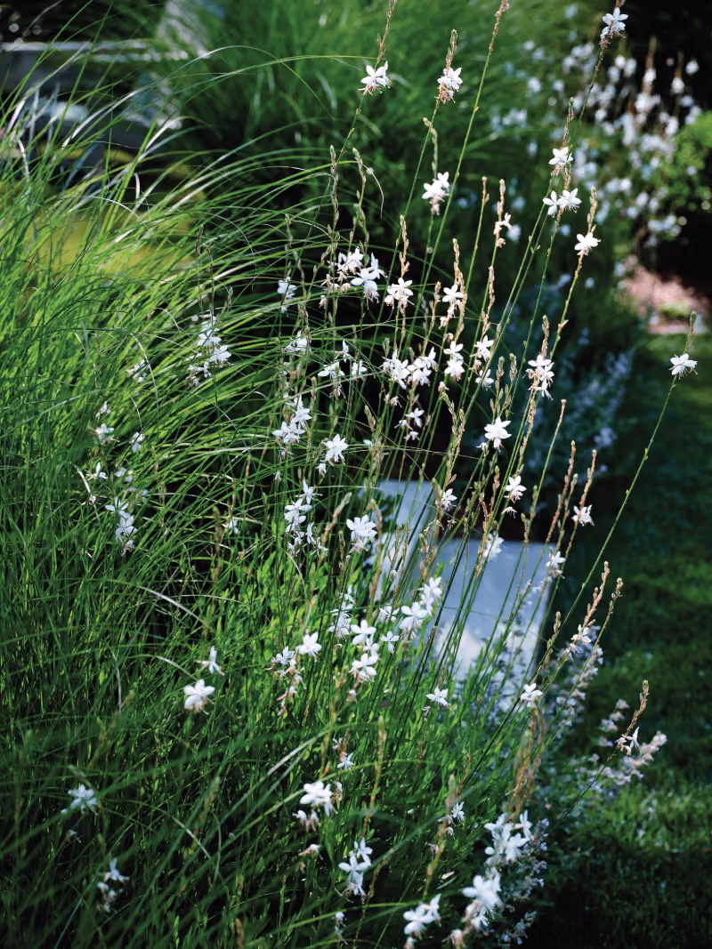 Woodbrook Garden landscape by KFiles Design, Charlotte, North Carolina — photo 11 of 13