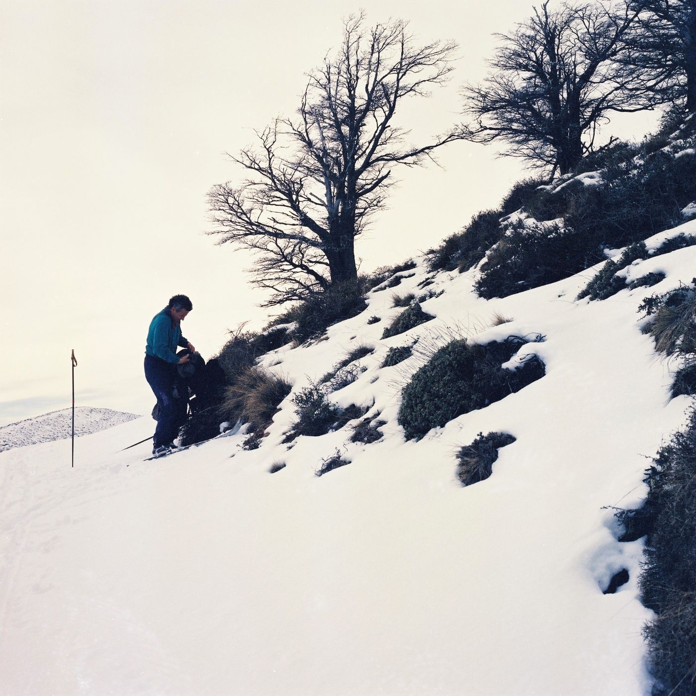 Cross-Country Skiing