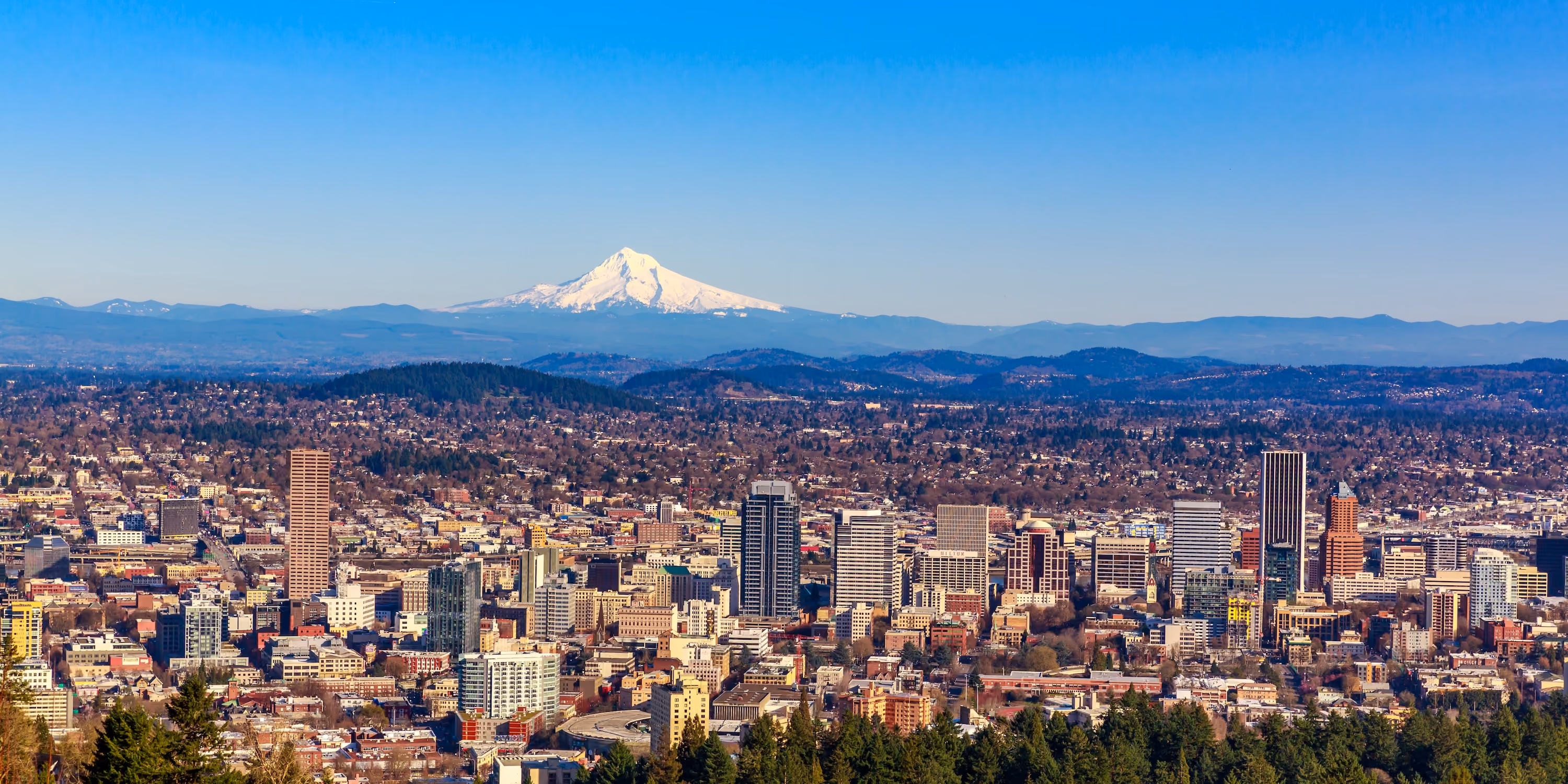 Portland, Or View Stock Image 
