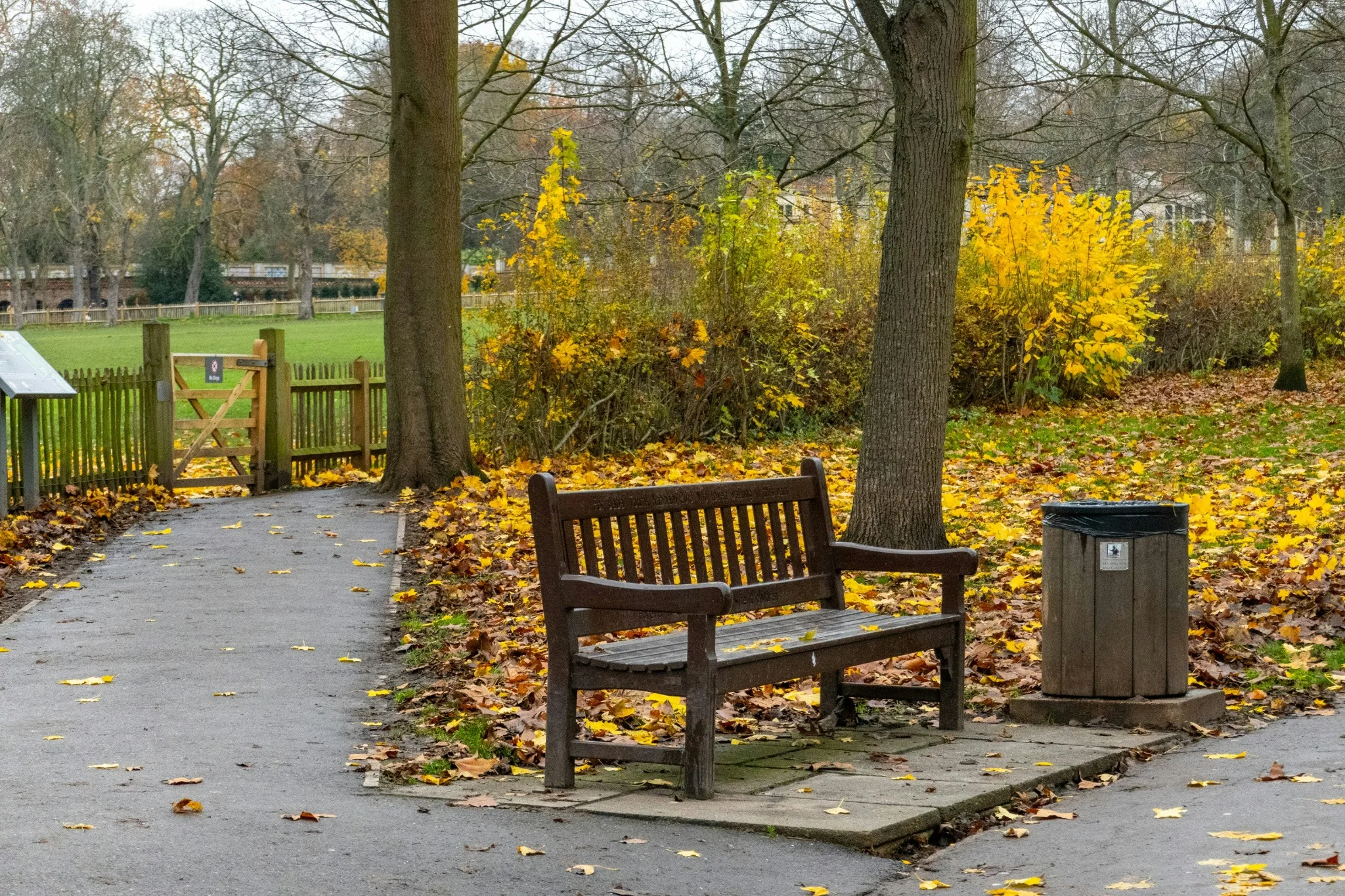 Park bench beside an autumn path