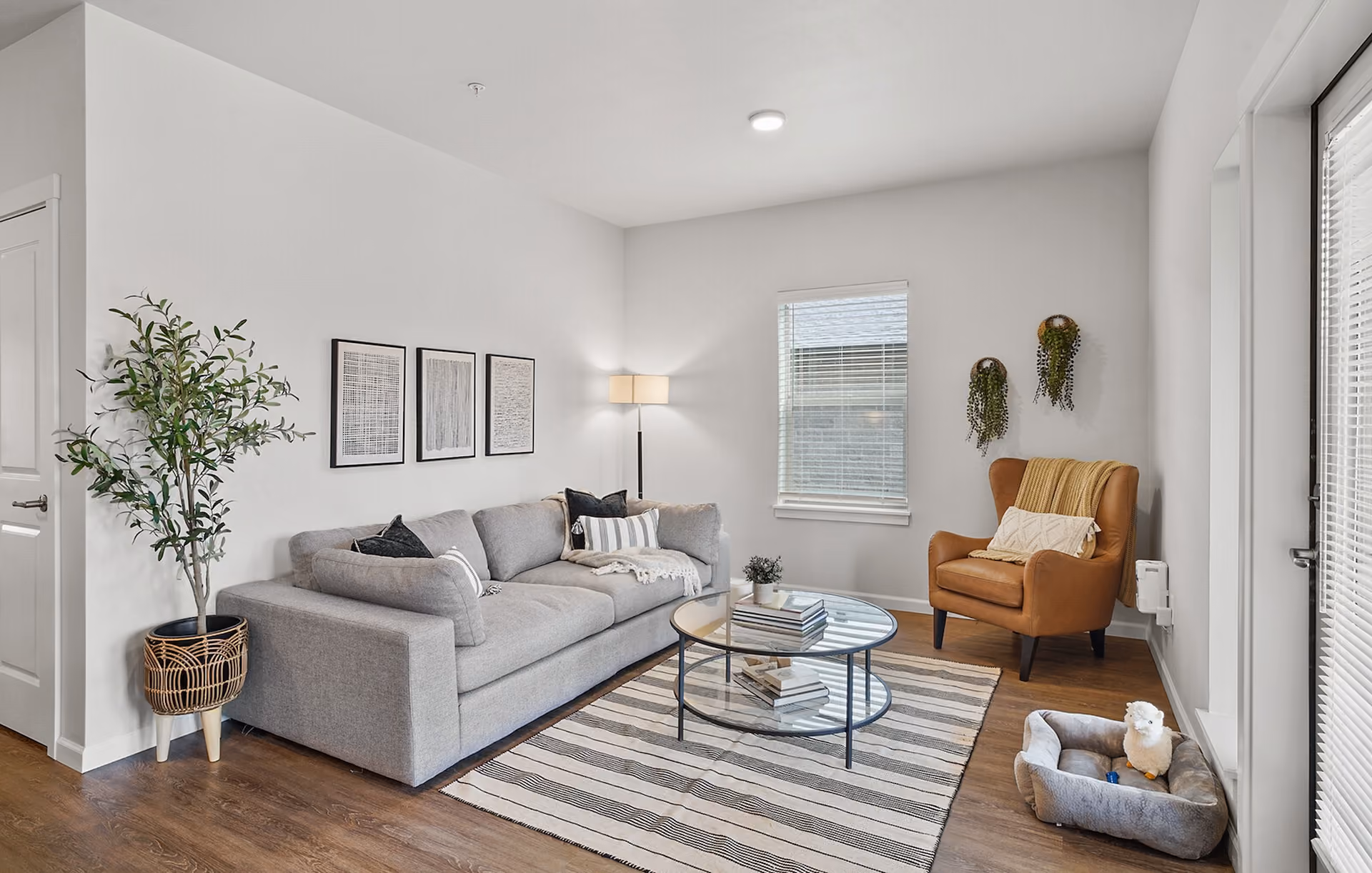 Apartment living room with rug and lamp at Reserve at Hunters Ridge in Eugene, Oregon