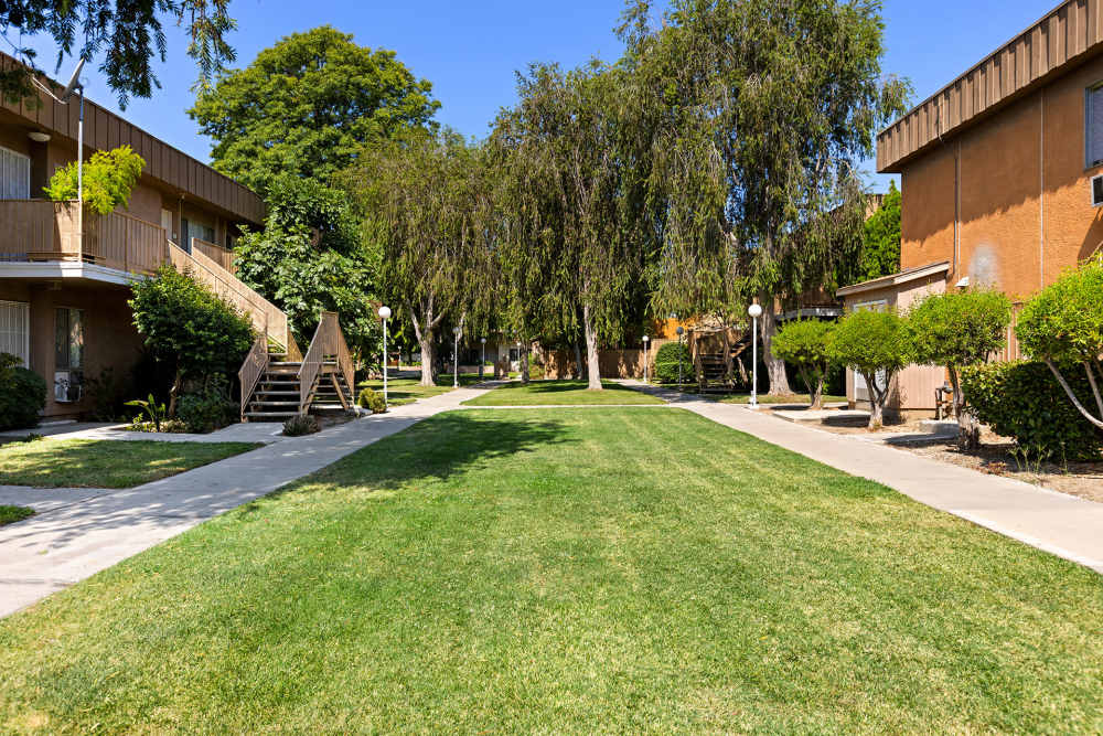Landscaping