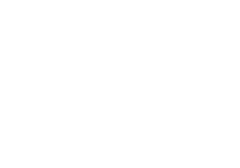 Tribeca X 2025 Best Feature laurel
