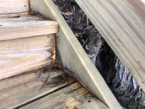 Delaying Exterior Maintenance