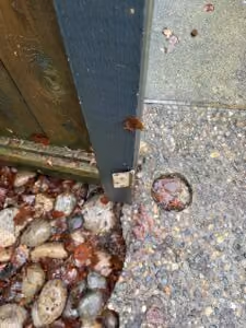 Remove the old gate and surround